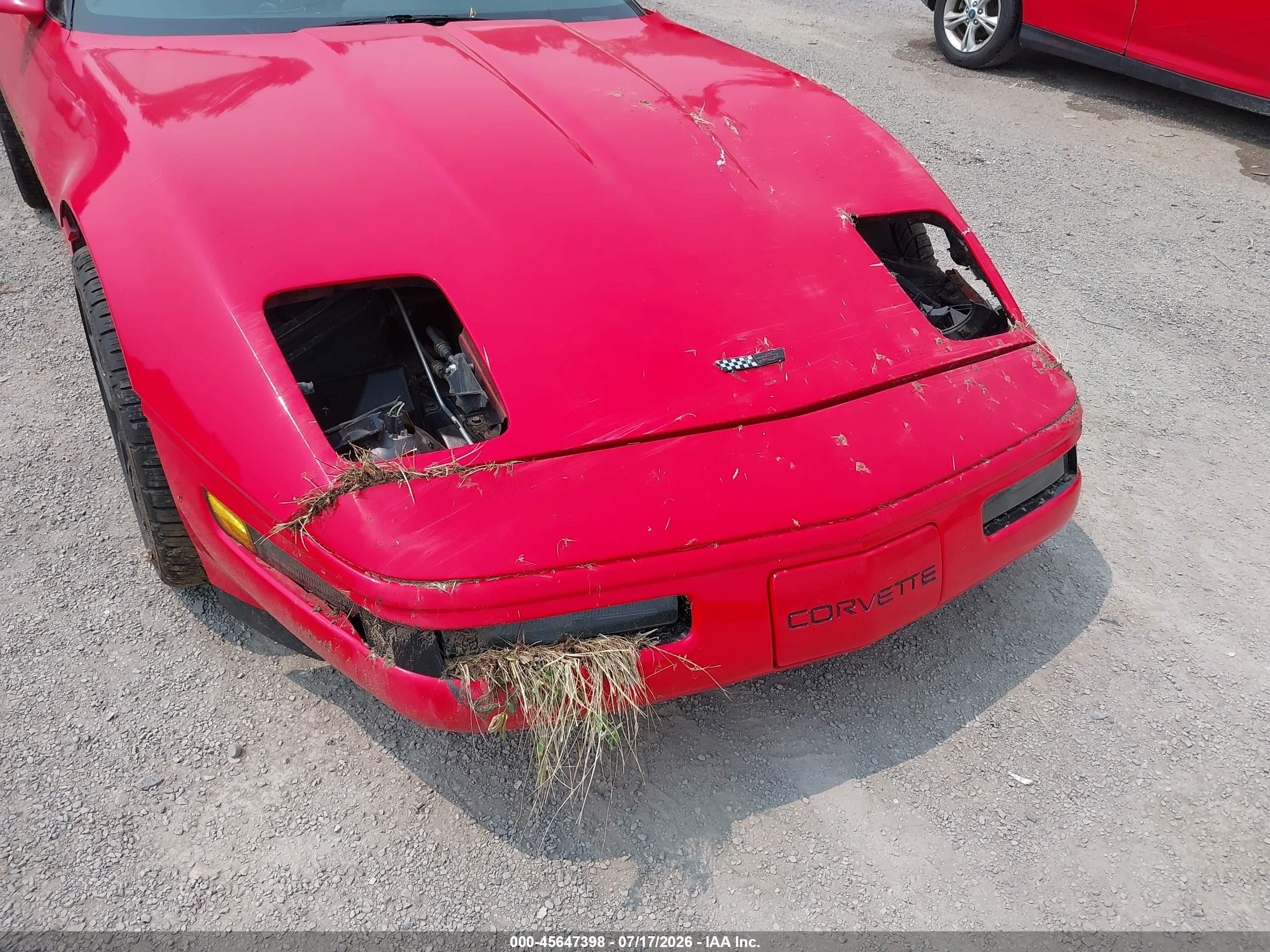 1994 Chevrolet Corvette   Red vin: 1G1YY22P0R5116681
