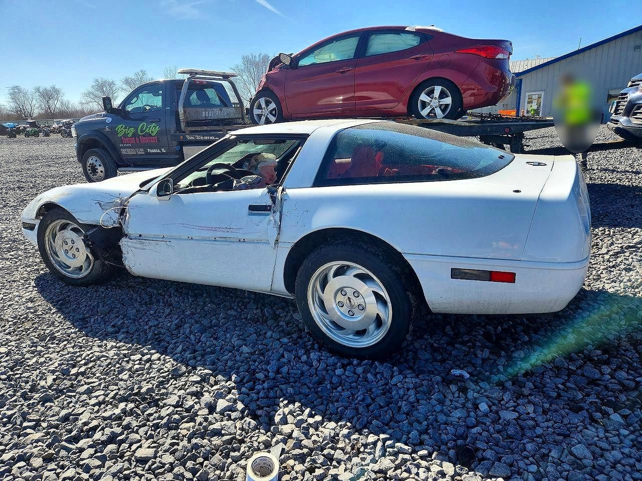1995 Chev Corvette White vin: 1G1YY22P0S5119909