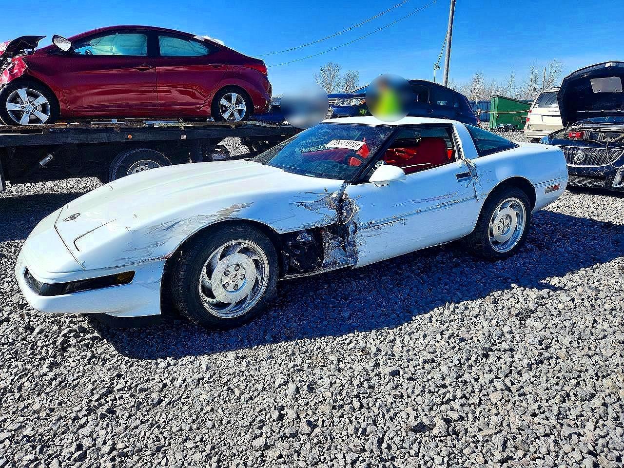 1995 Chev Corvette White vin: 1G1YY22P0S5119909