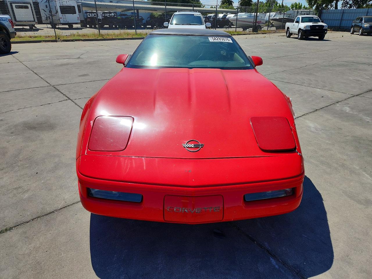 1996 Chevrolet Corvette Red vin: 1G1YY22P0T5118440
