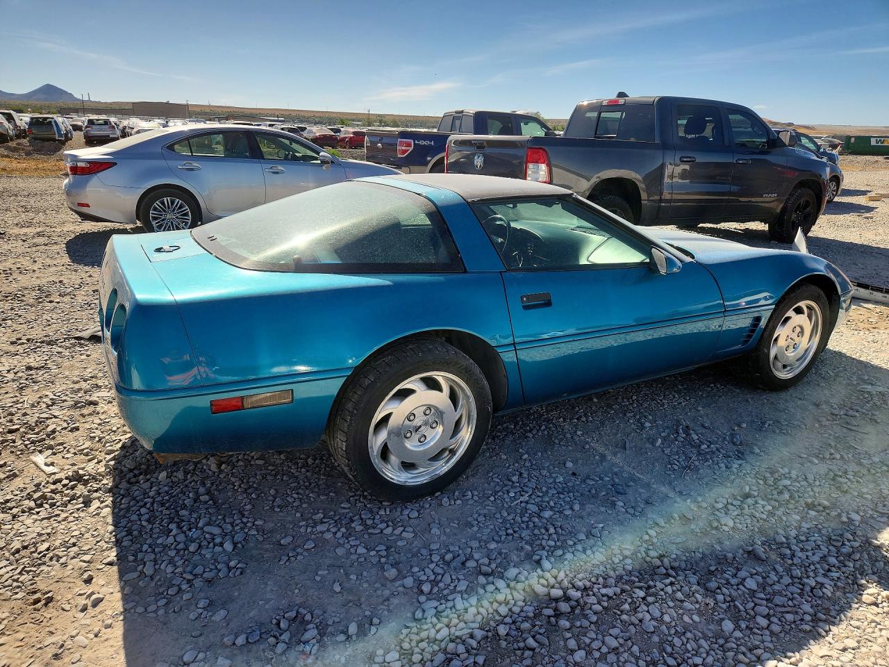 1995 Chevrolet Corvette Blue vin: 1G1YY22P1S5109602
