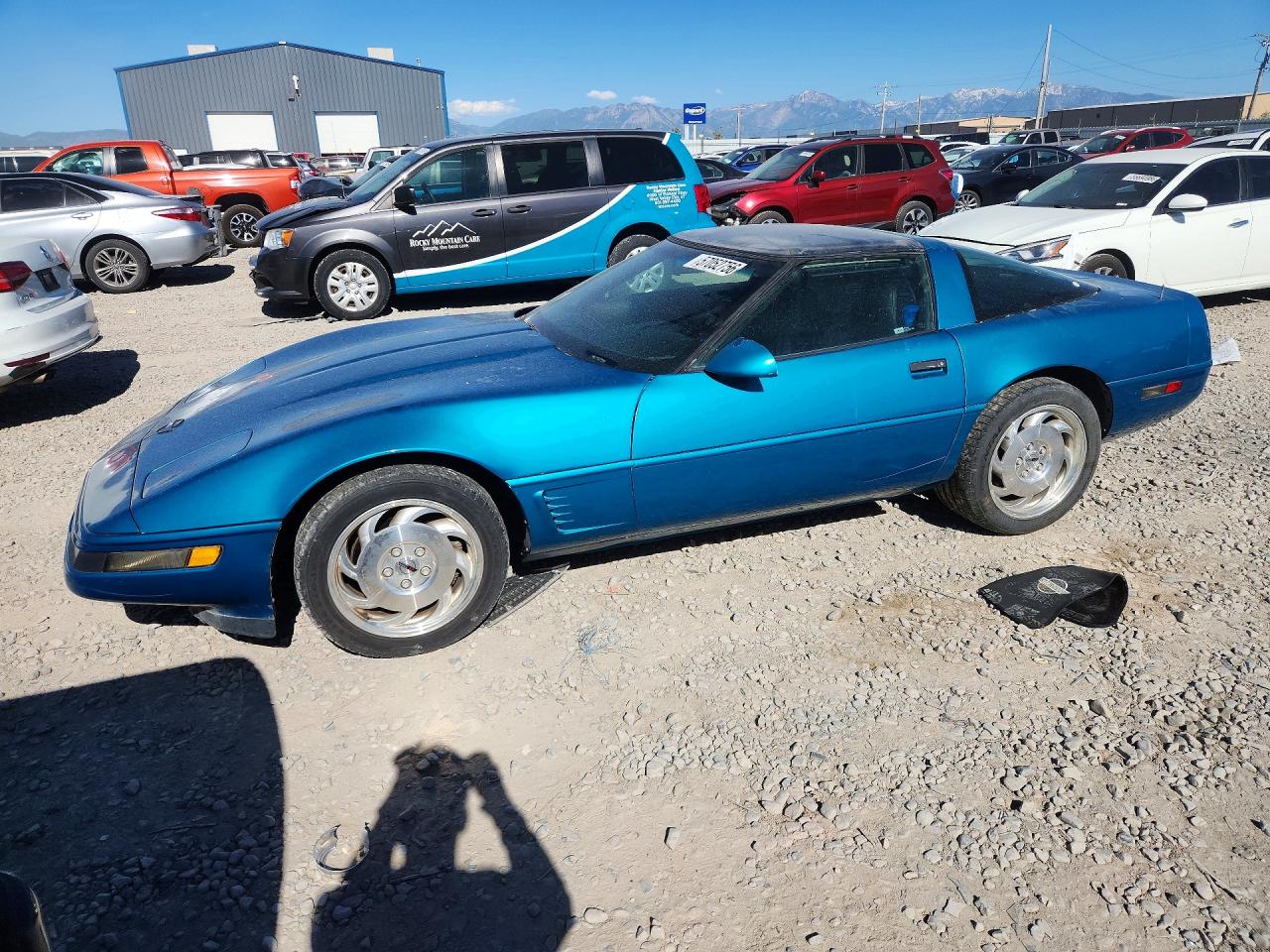 1995 Chevrolet Corvette Blue vin: 1G1YY22P1S5109602