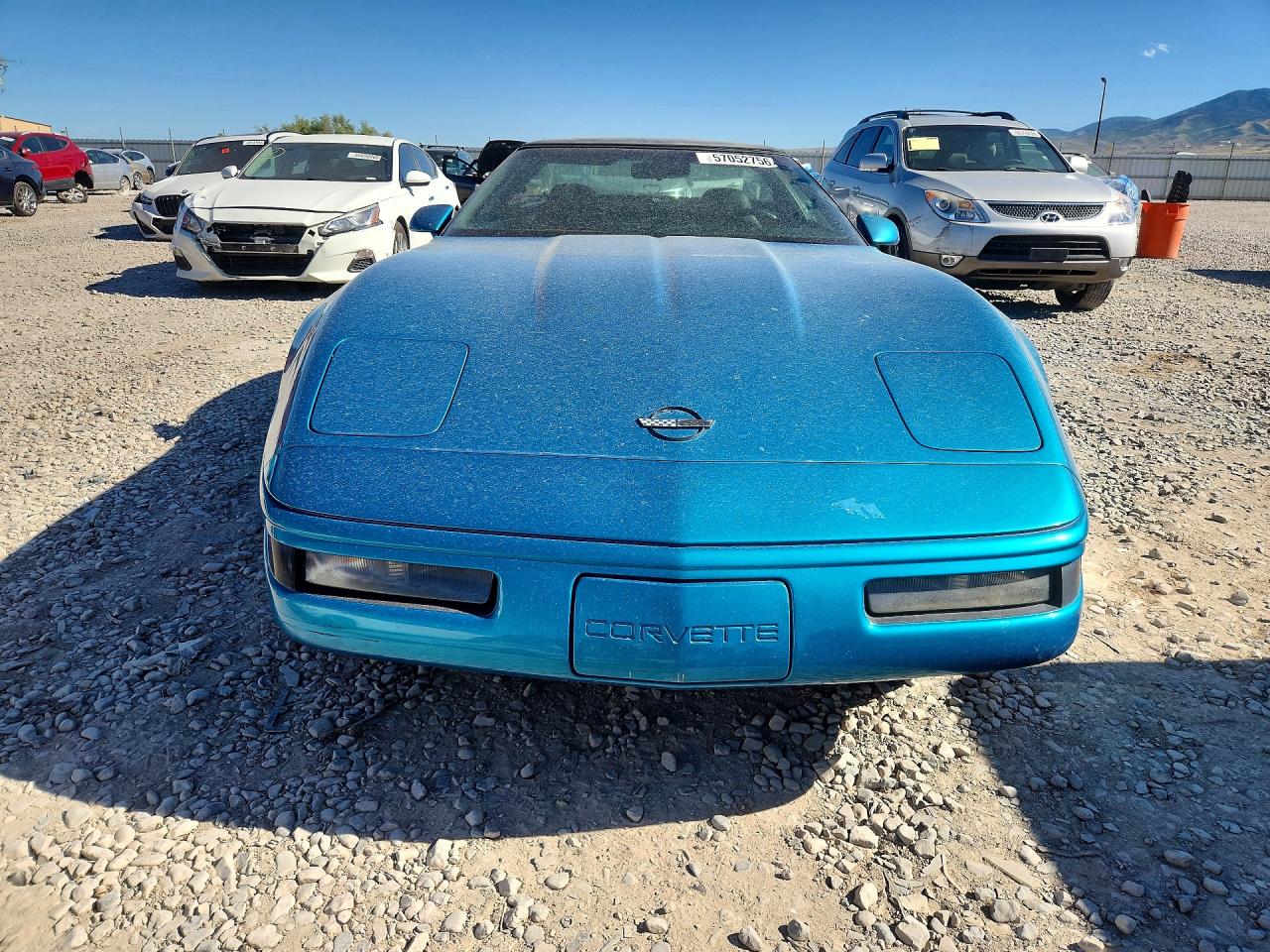 1995 Chevrolet Corvette Blue vin: 1G1YY22P1S5109602