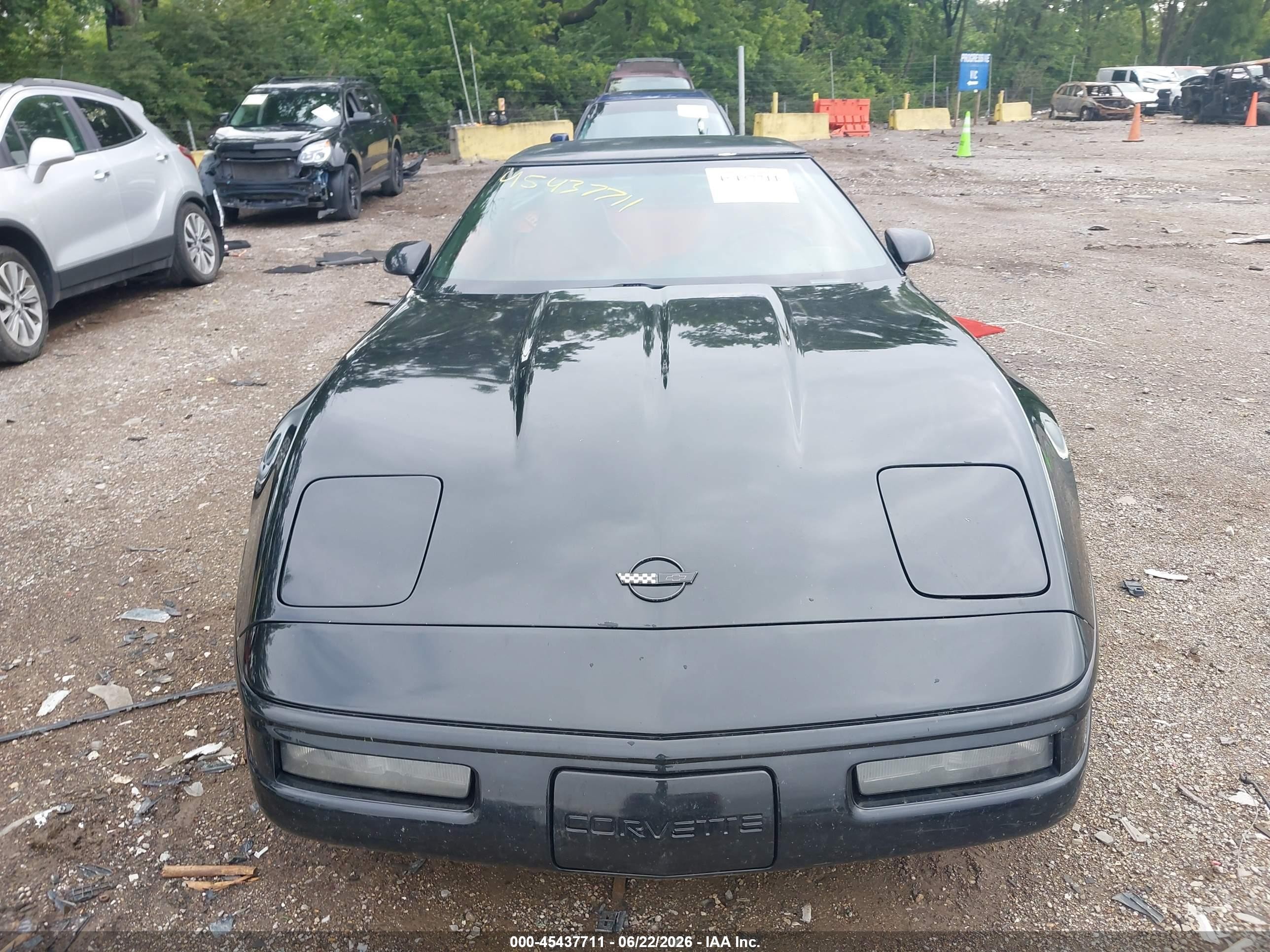 1996 Chevrolet Corvette Черный vin: 1G1YY22P1T5100299