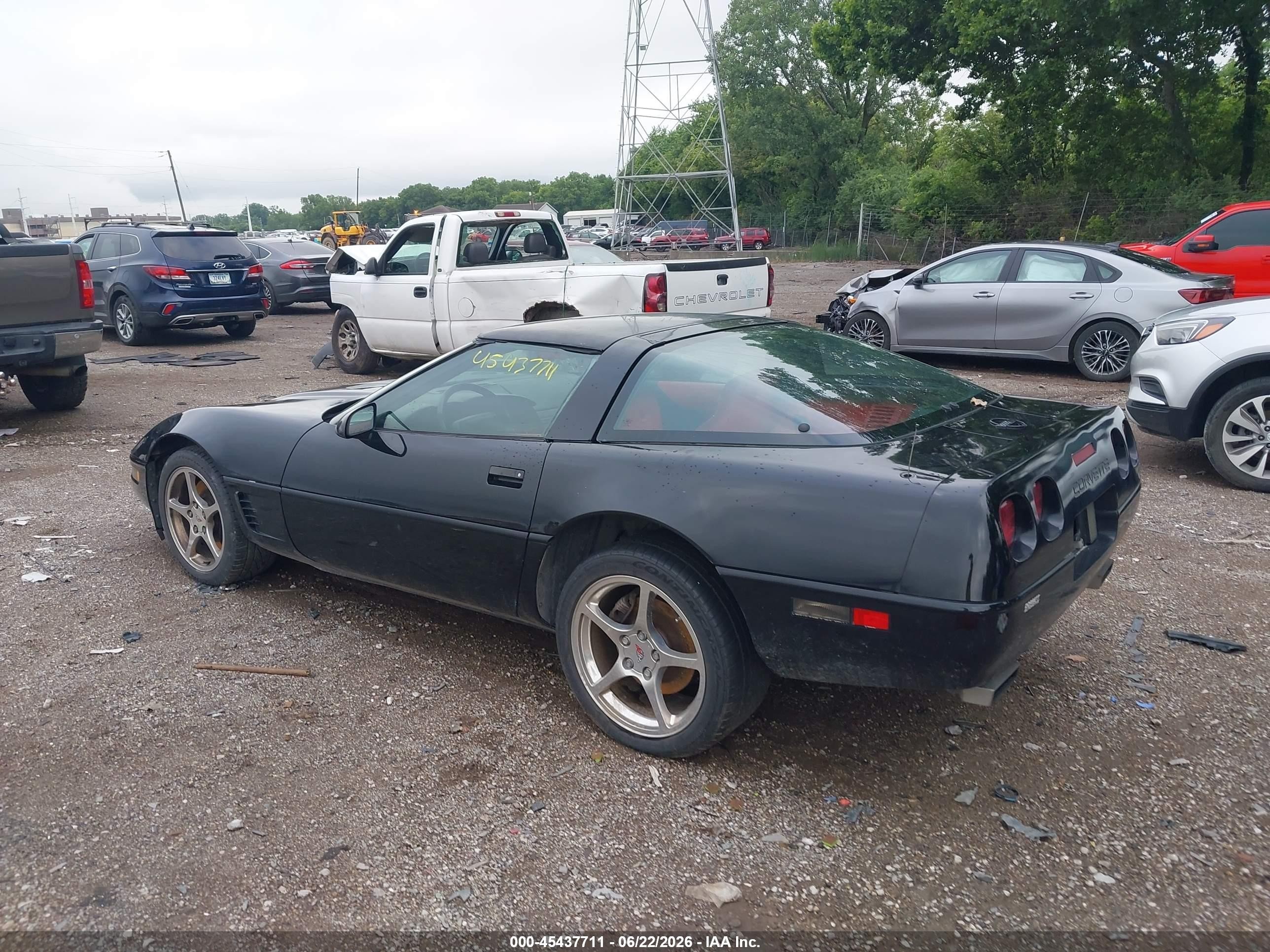 1996 Chevrolet Corvette Черный vin: 1G1YY22P1T5100299