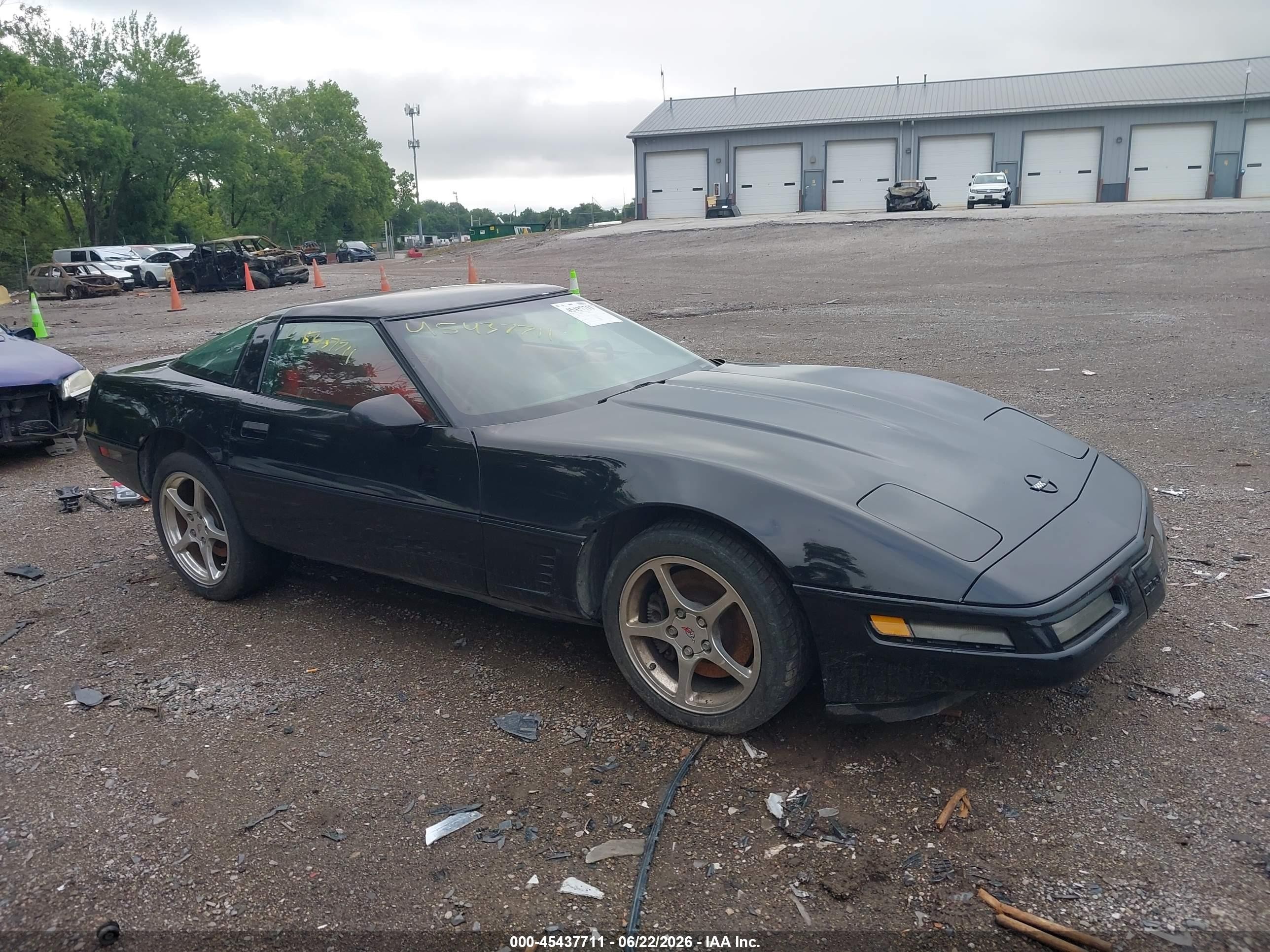 1996 Chevrolet Corvette Black vin: 1G1YY22P1T5100299