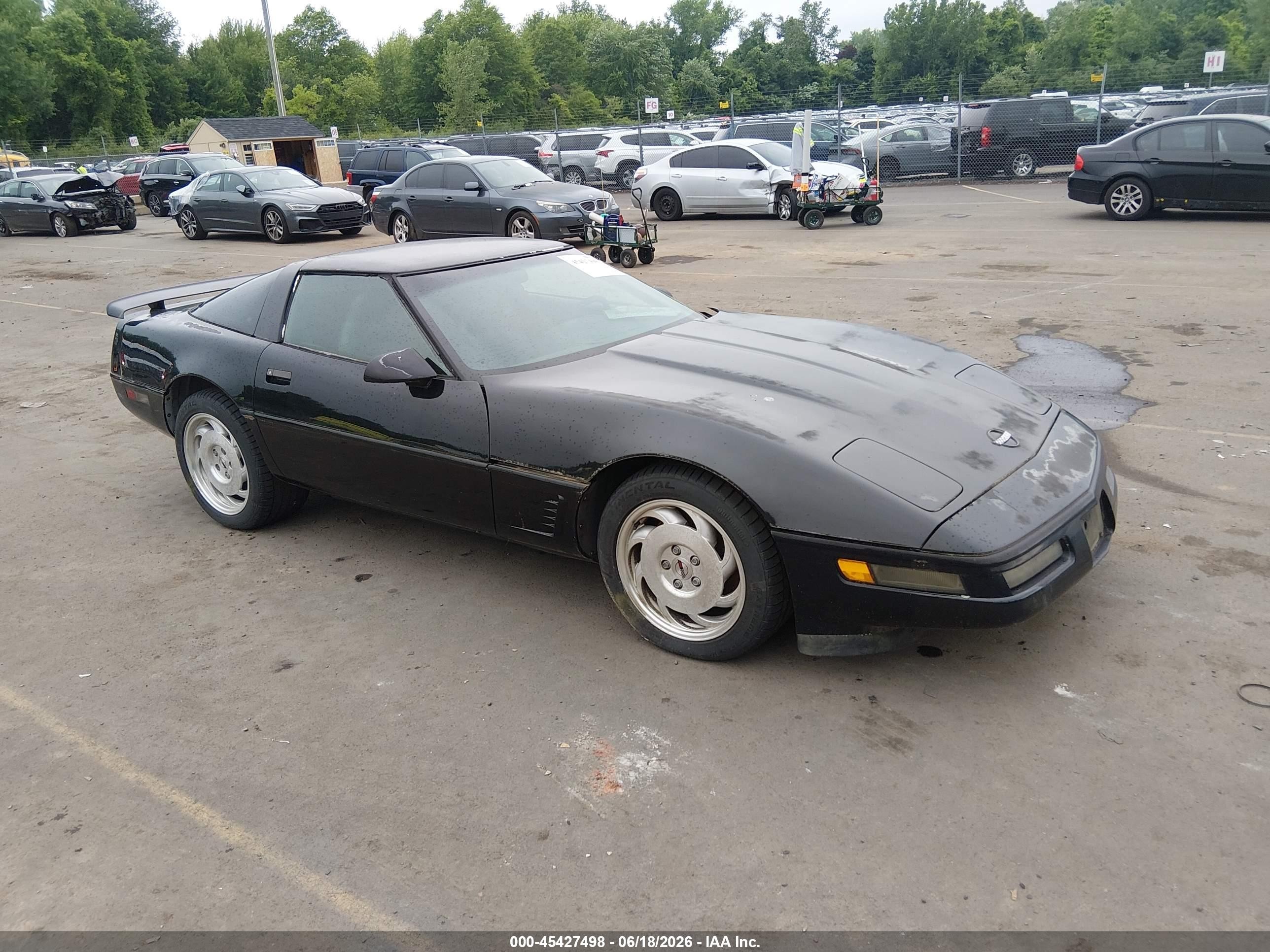 1996 Chevrolet Corvette Black vin: 1G1YY22P2T5101610
