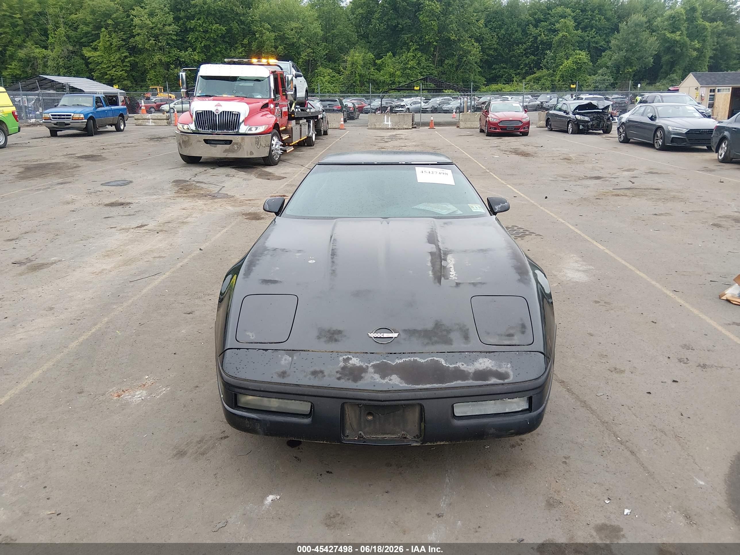 1996 Chevrolet Corvette Black vin: 1G1YY22P2T5101610