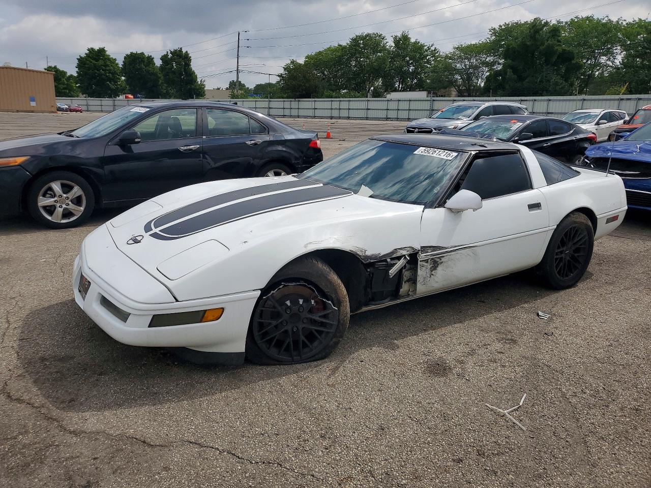 1996 Chevrolet Corvette White vin: 1G1YY22P2T5117497
