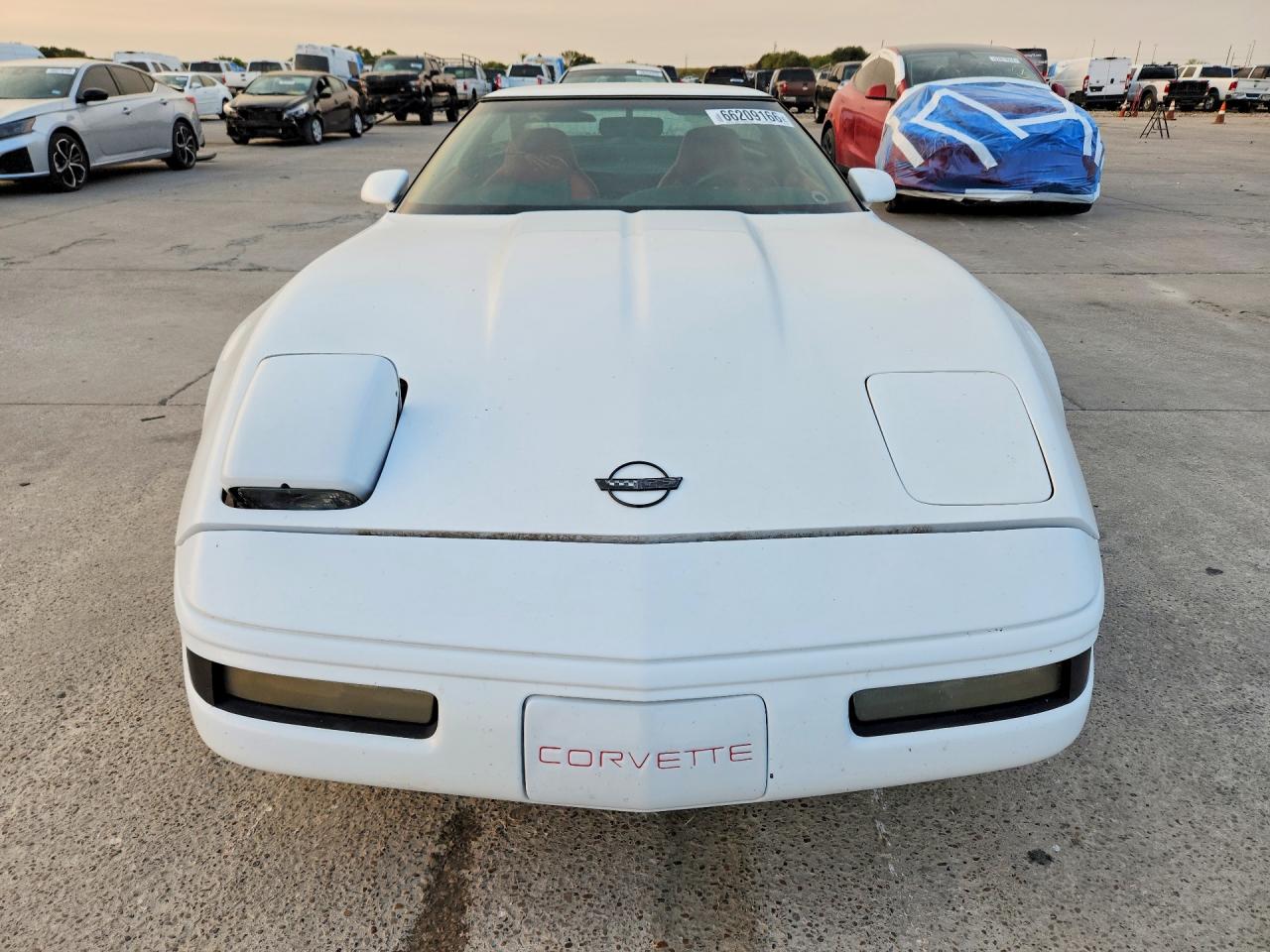 1995 Chevrolet Corvette White vin: 1G1YY22P3S5107219