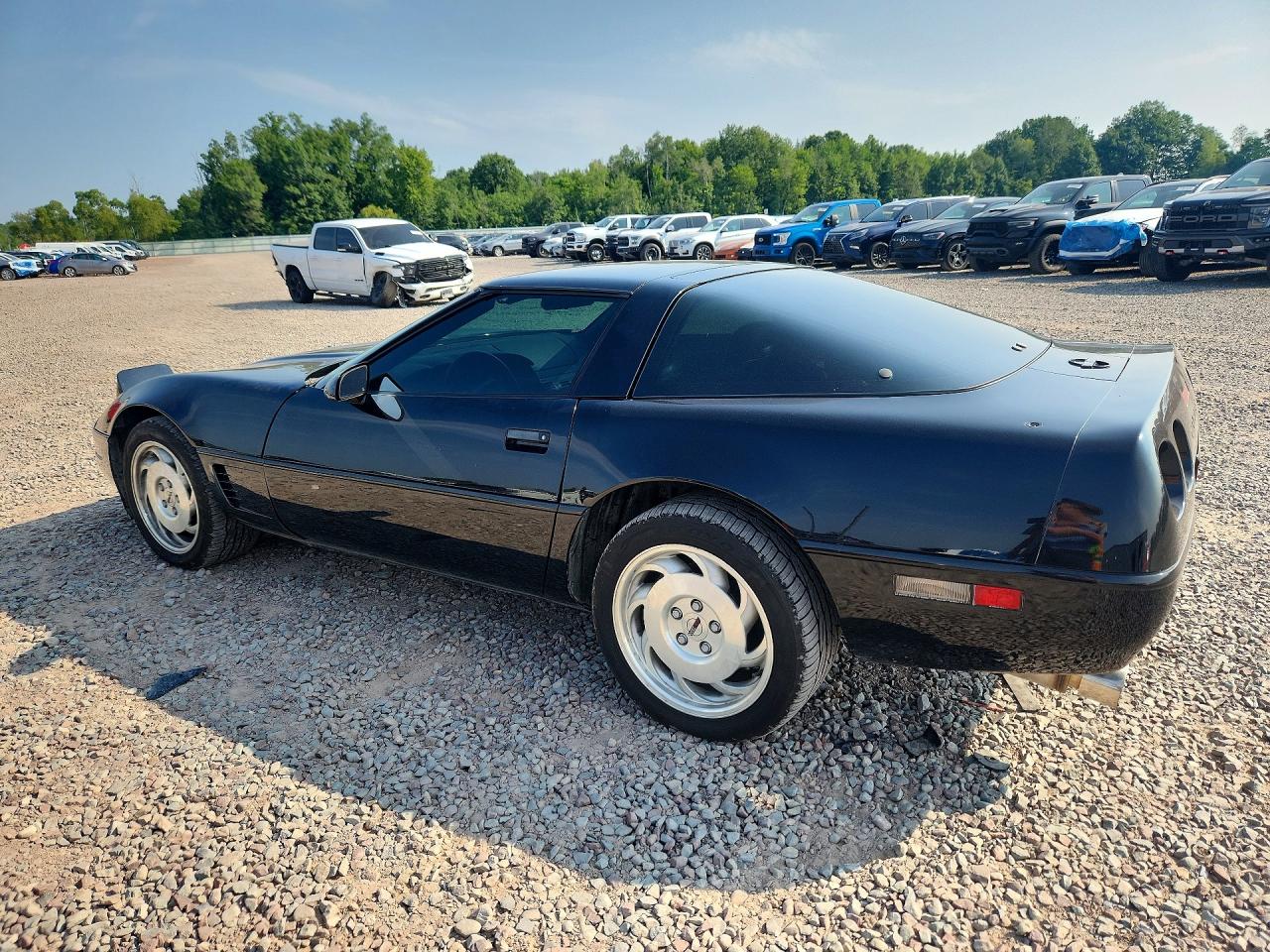 1995 Chevrolet Corvette Black vin: 1G1YY22P3S5111982