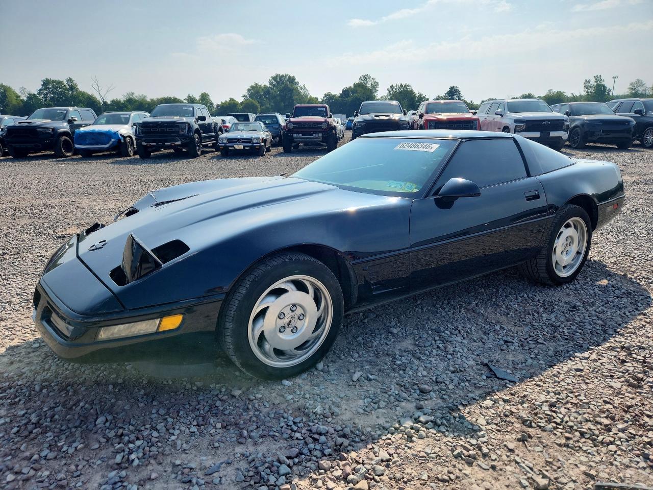 1995 Chevrolet Corvette Black vin: 1G1YY22P3S5111982