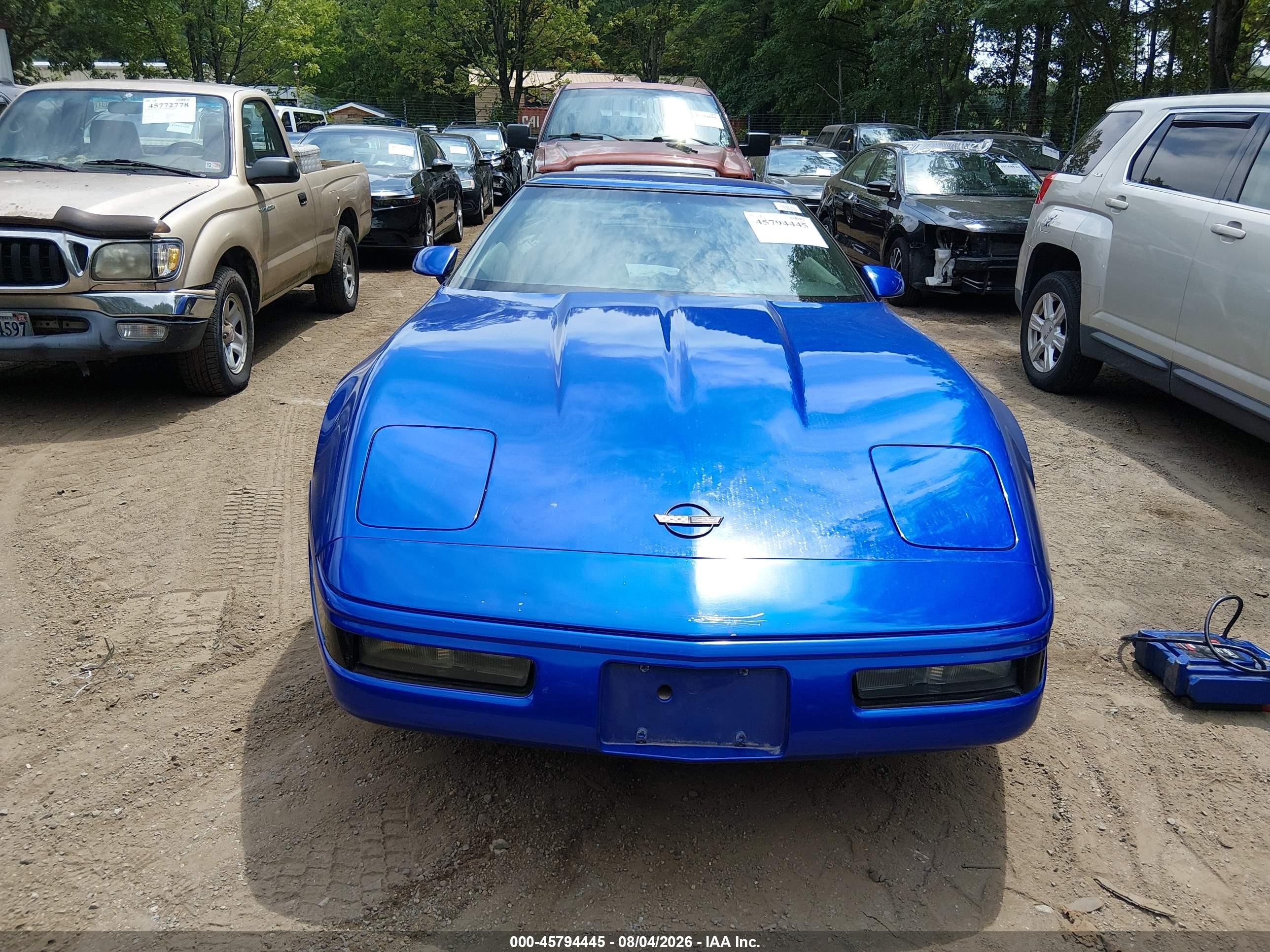 1994 Chevrolet Corvette   Blue vin: 1G1YY22P4R5115467