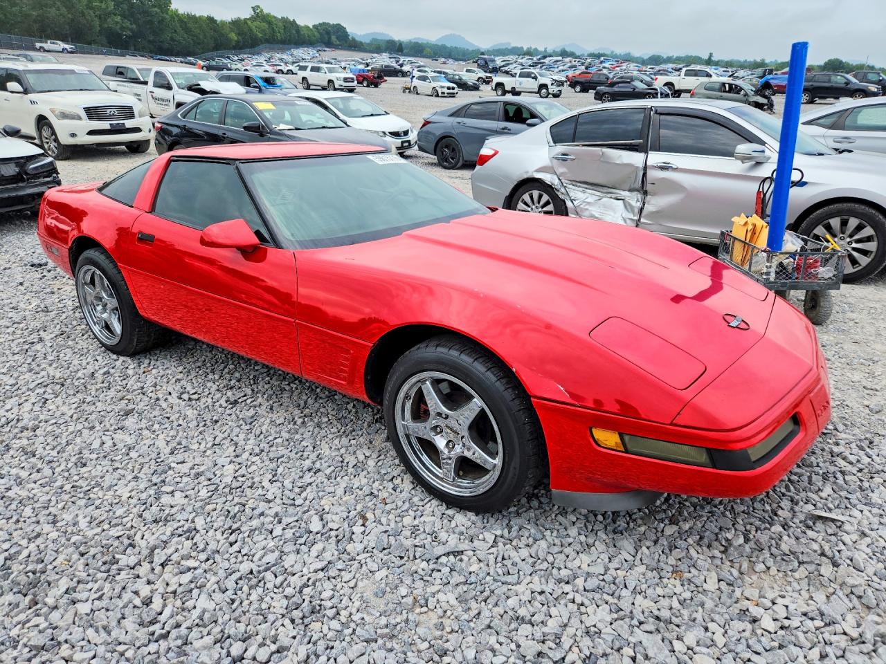 1995 Chevrolet Corvette Красный vin: 1G1YY22P4S5105625