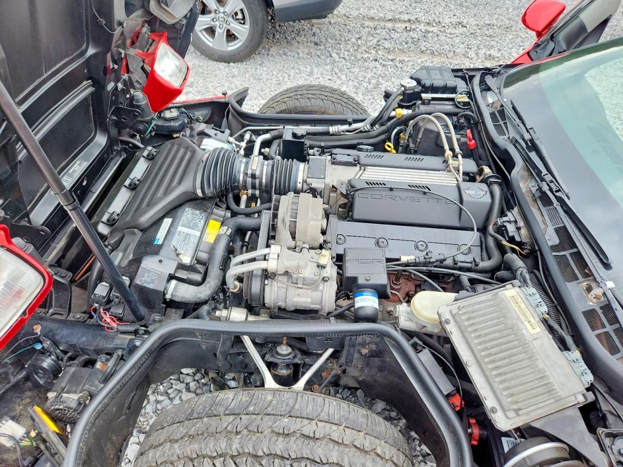 1995 Chevrolet Corvette Красный vin: 1G1YY22P4S5105625