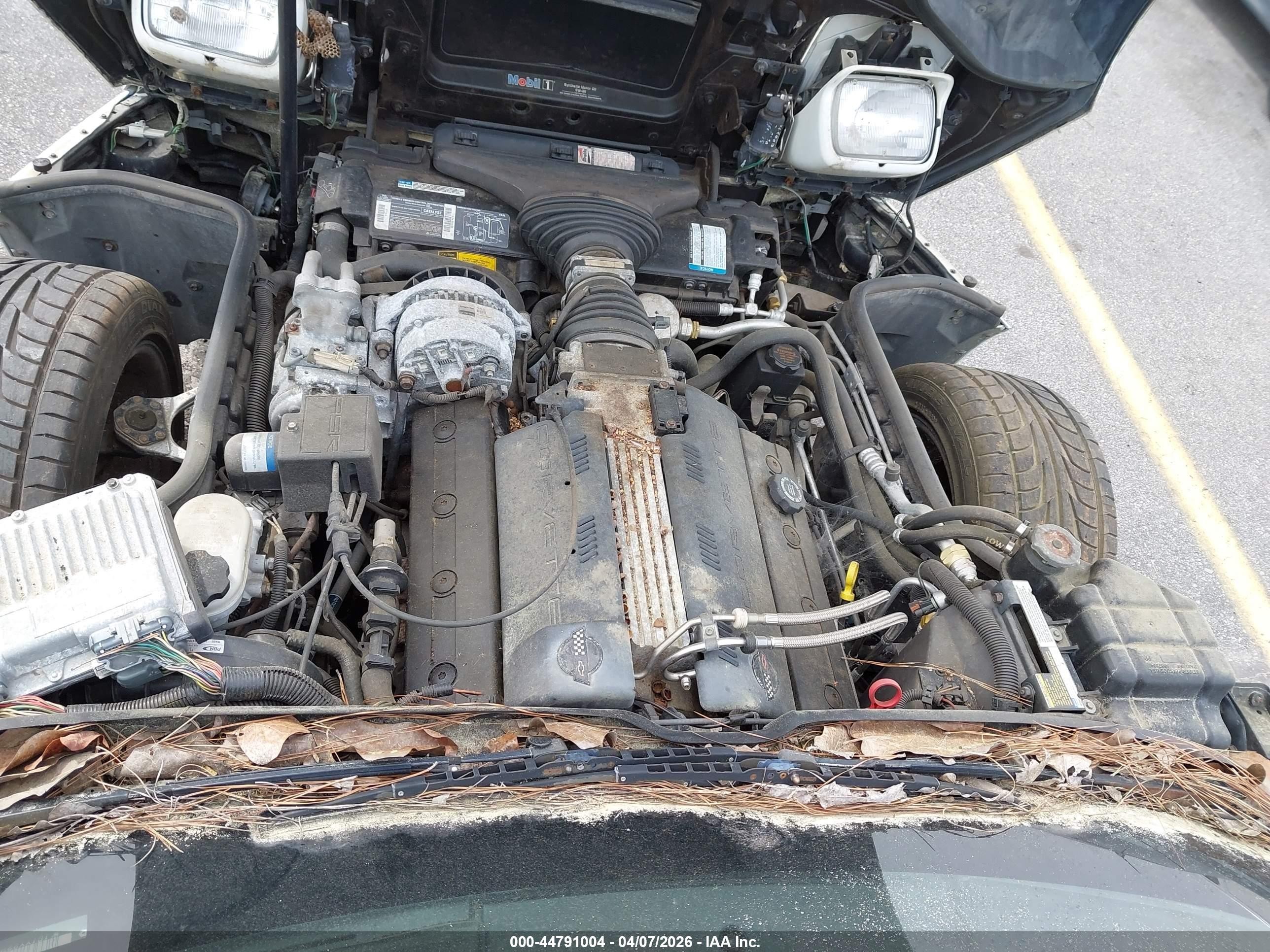 1995 Chevrolet Corvette   Белый vin: 1G1YY22P4S5111988