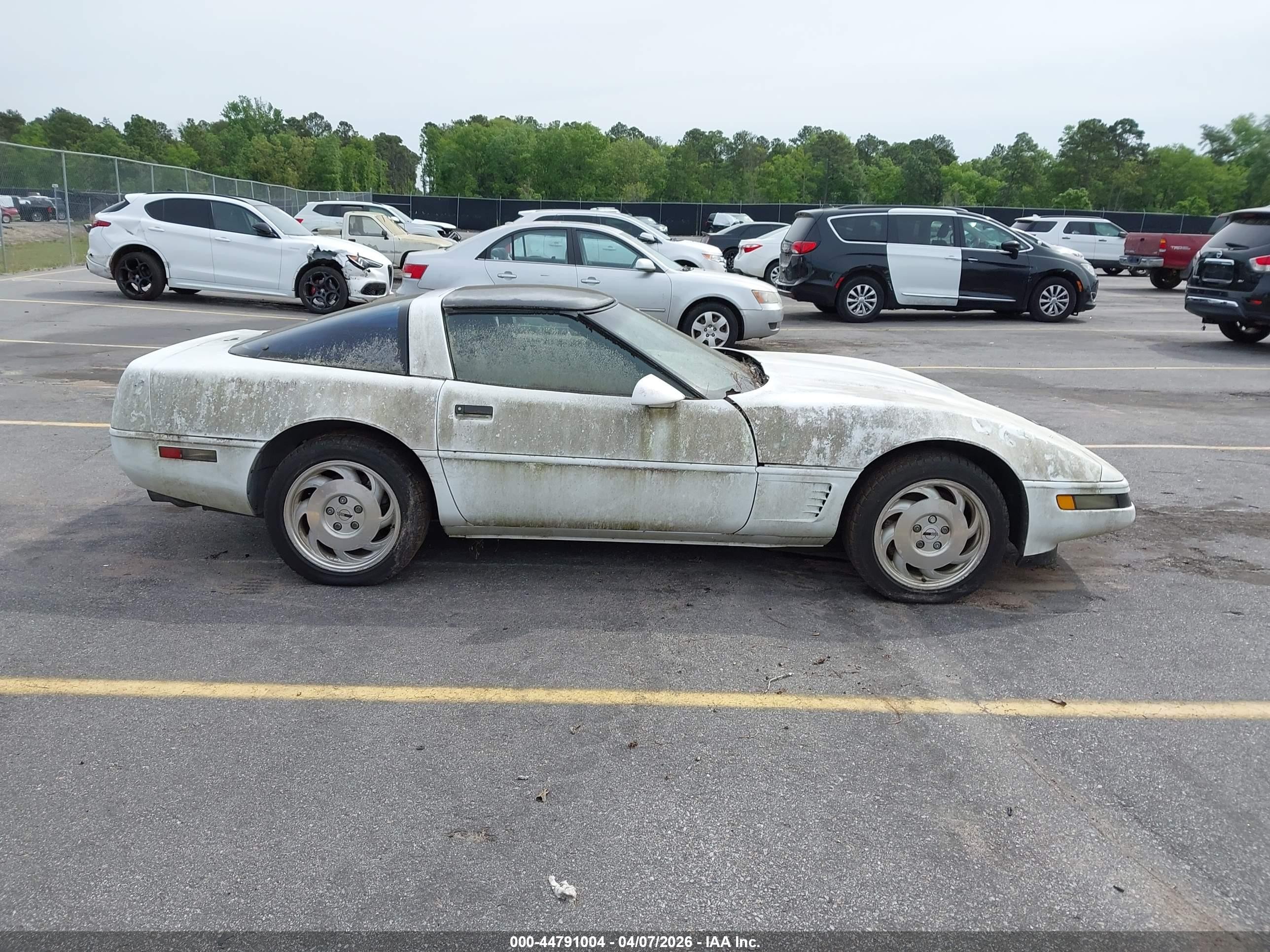 1995 Chevrolet Corvette   Белый vin: 1G1YY22P4S5111988