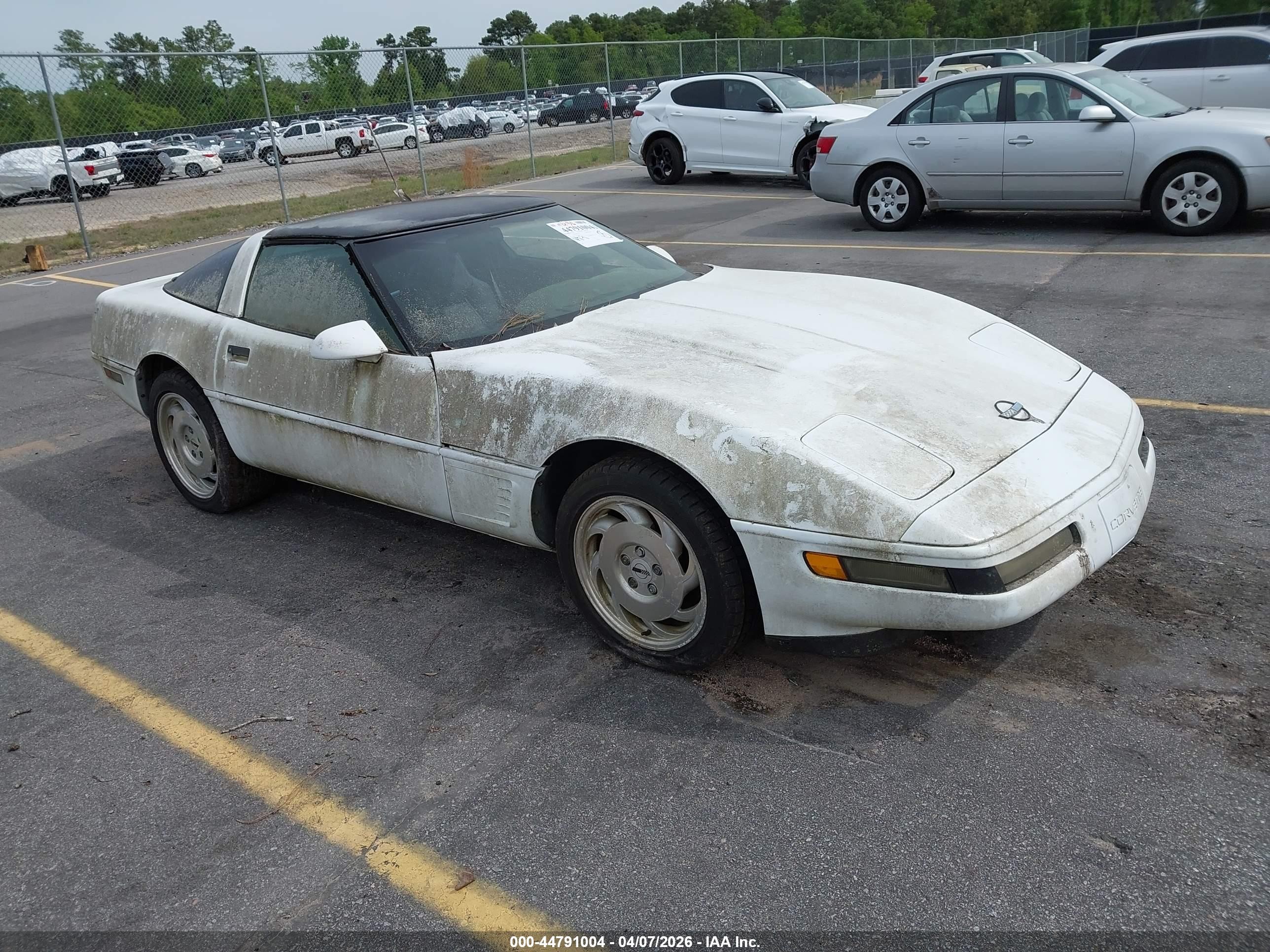 1995 Chevrolet Corvette   Белый vin: 1G1YY22P4S5111988