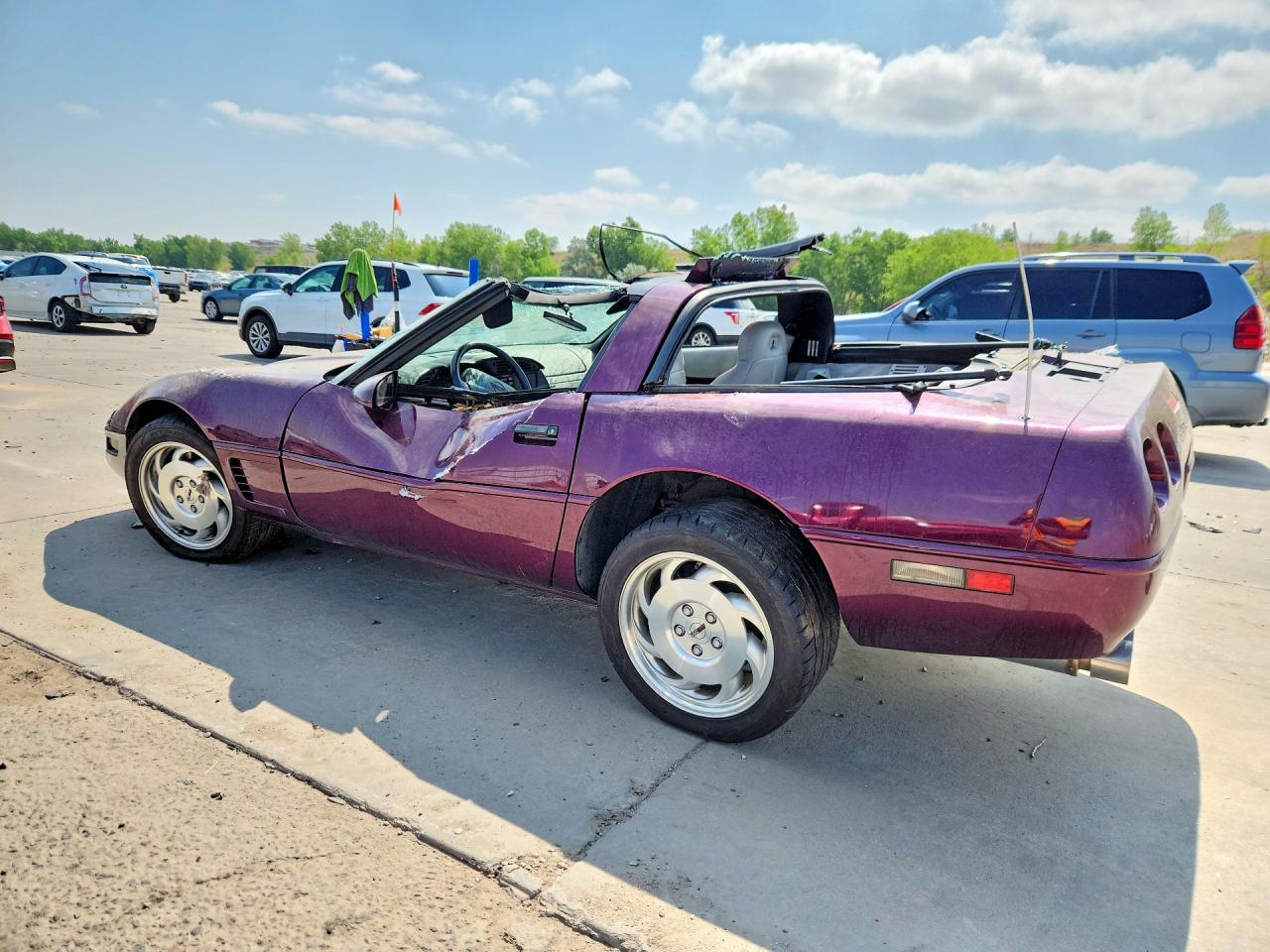 1995 Chevrolet Corvette Purple vin: 1G1YY22P7S5107028