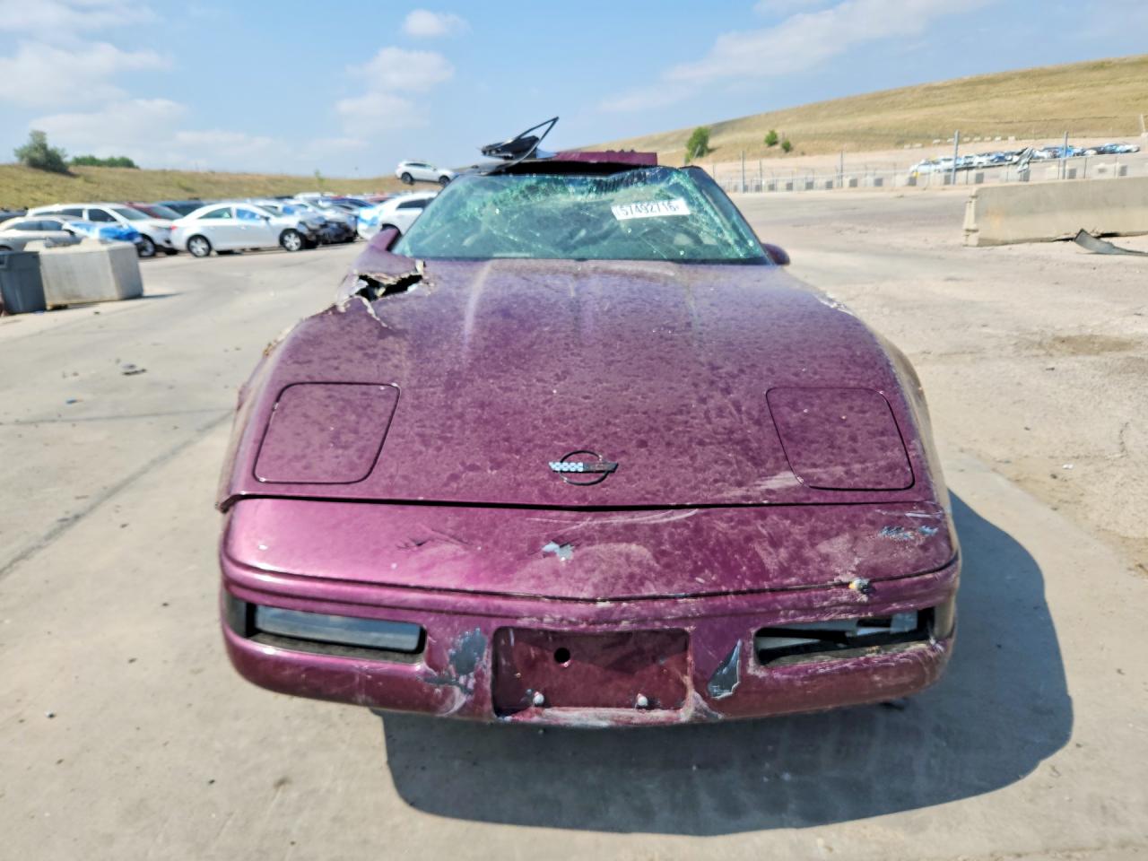 1995 Chevrolet Corvette Purple vin: 1G1YY22P7S5107028