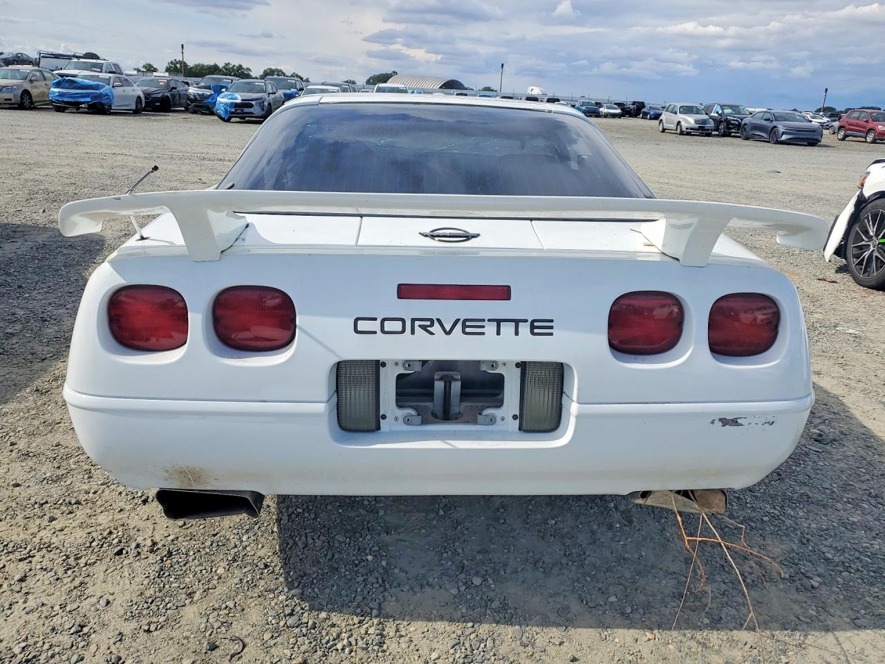 1995 Chevrolet Corvette White vin: 1G1YY22P7S5110933