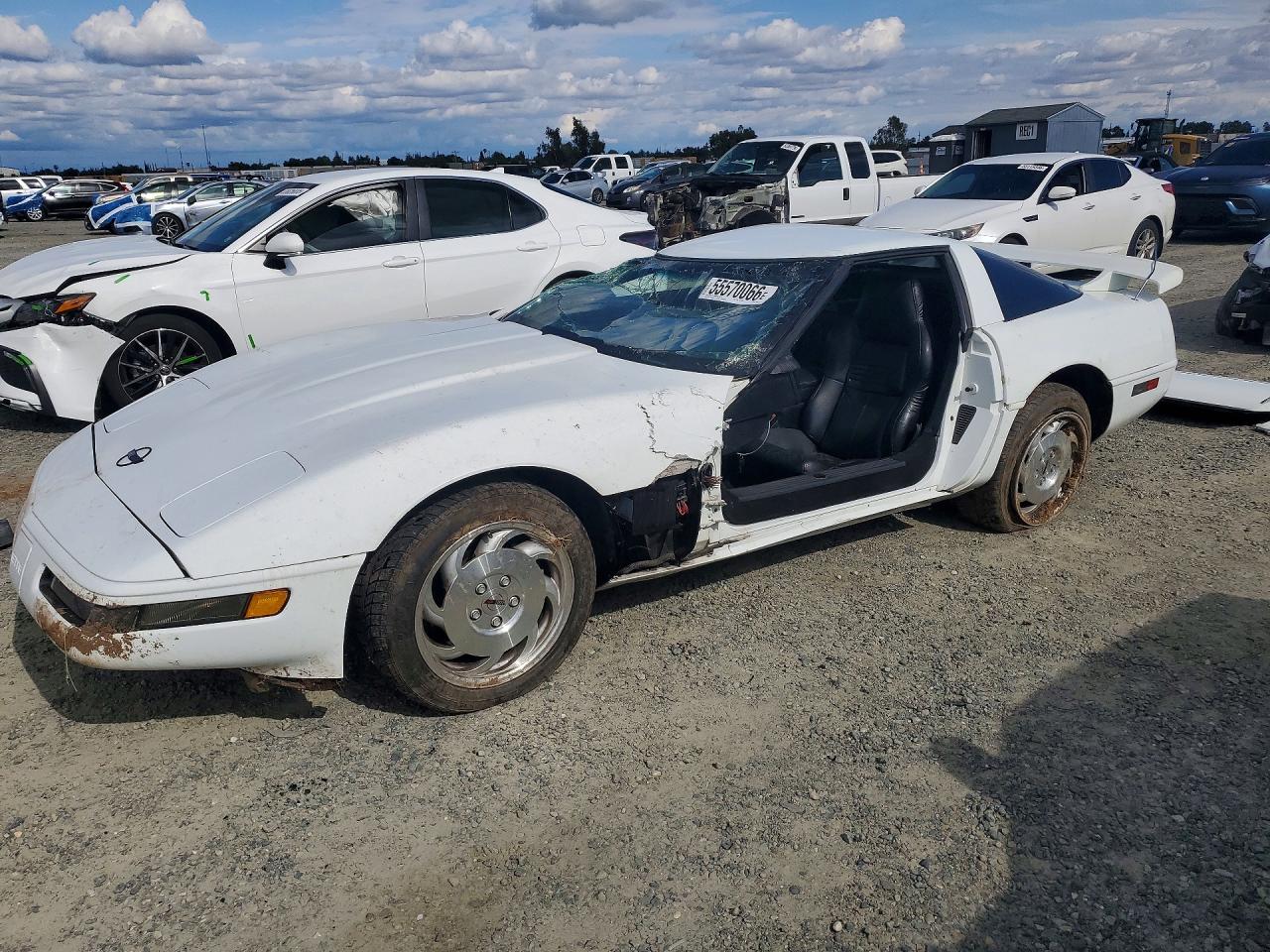 1995 Chevrolet Corvette White vin: 1G1YY22P7S5110933