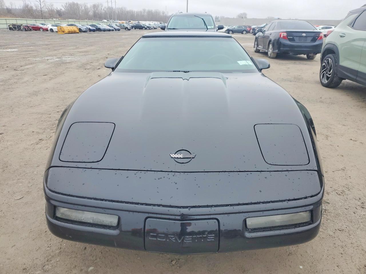 1995 Chev Corvette Black vin: 1G1YY22P8S5116756