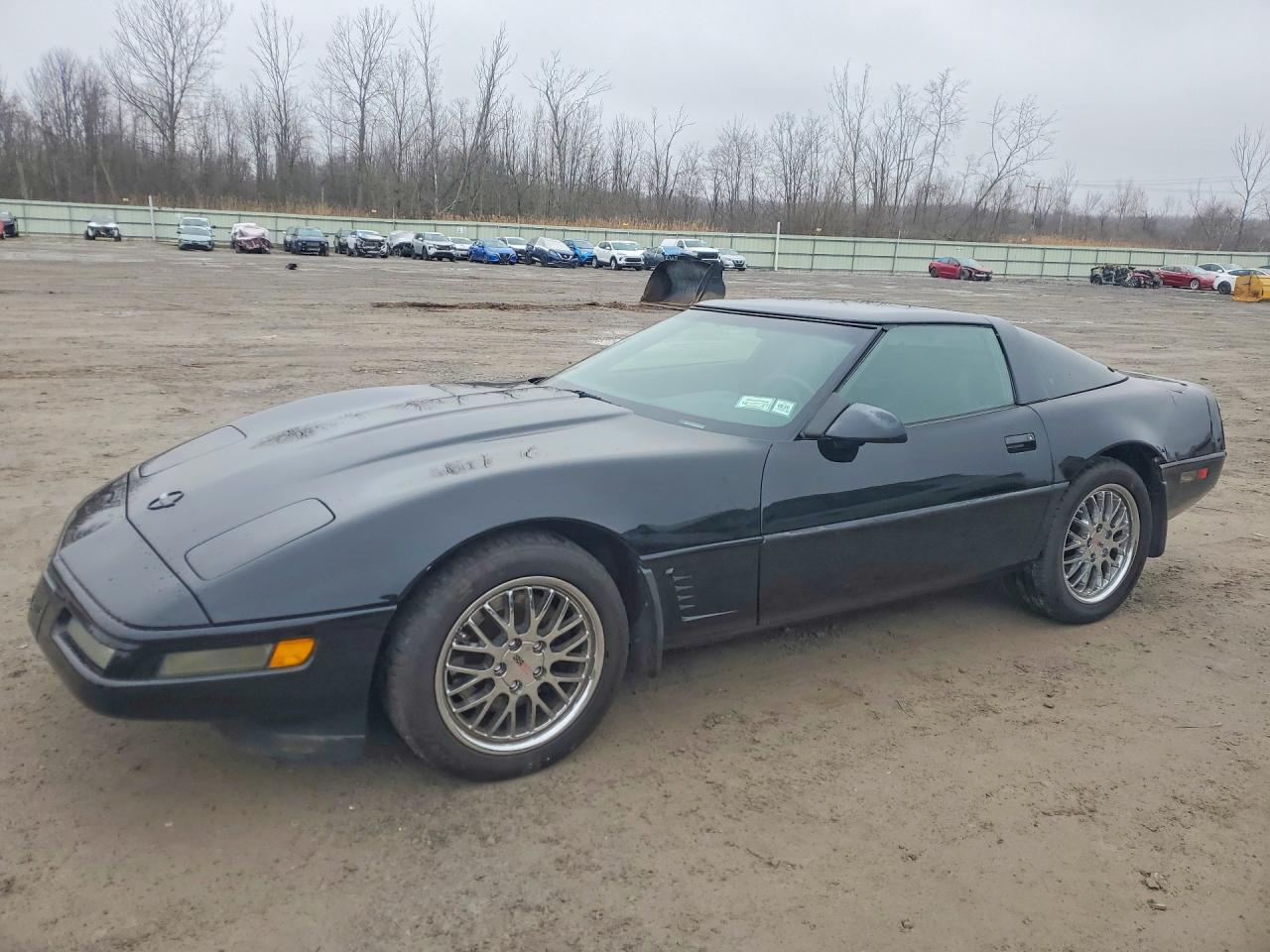 1995 Chev Corvette Black vin: 1G1YY22P8S5116756