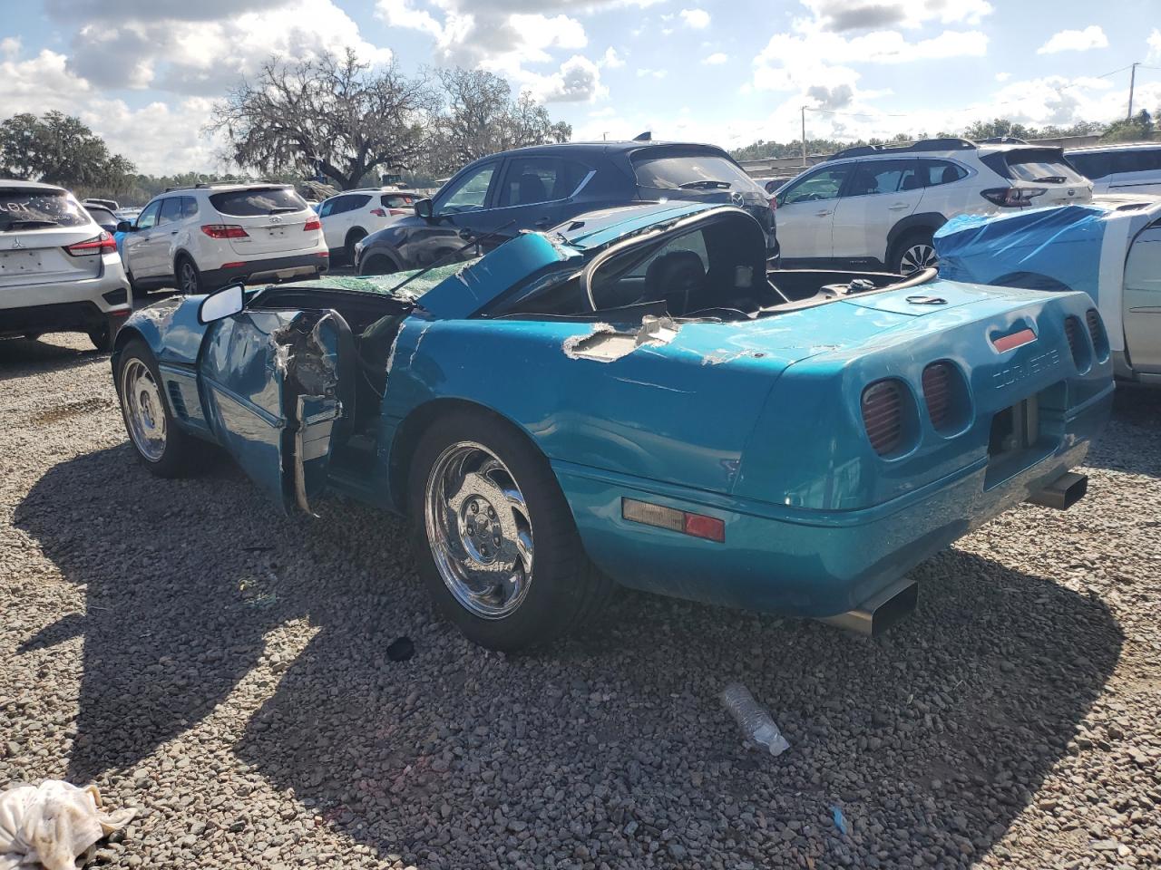 1996 Chevrolet Corvette Бирюзовый vin: 1G1YY22P8T5104303