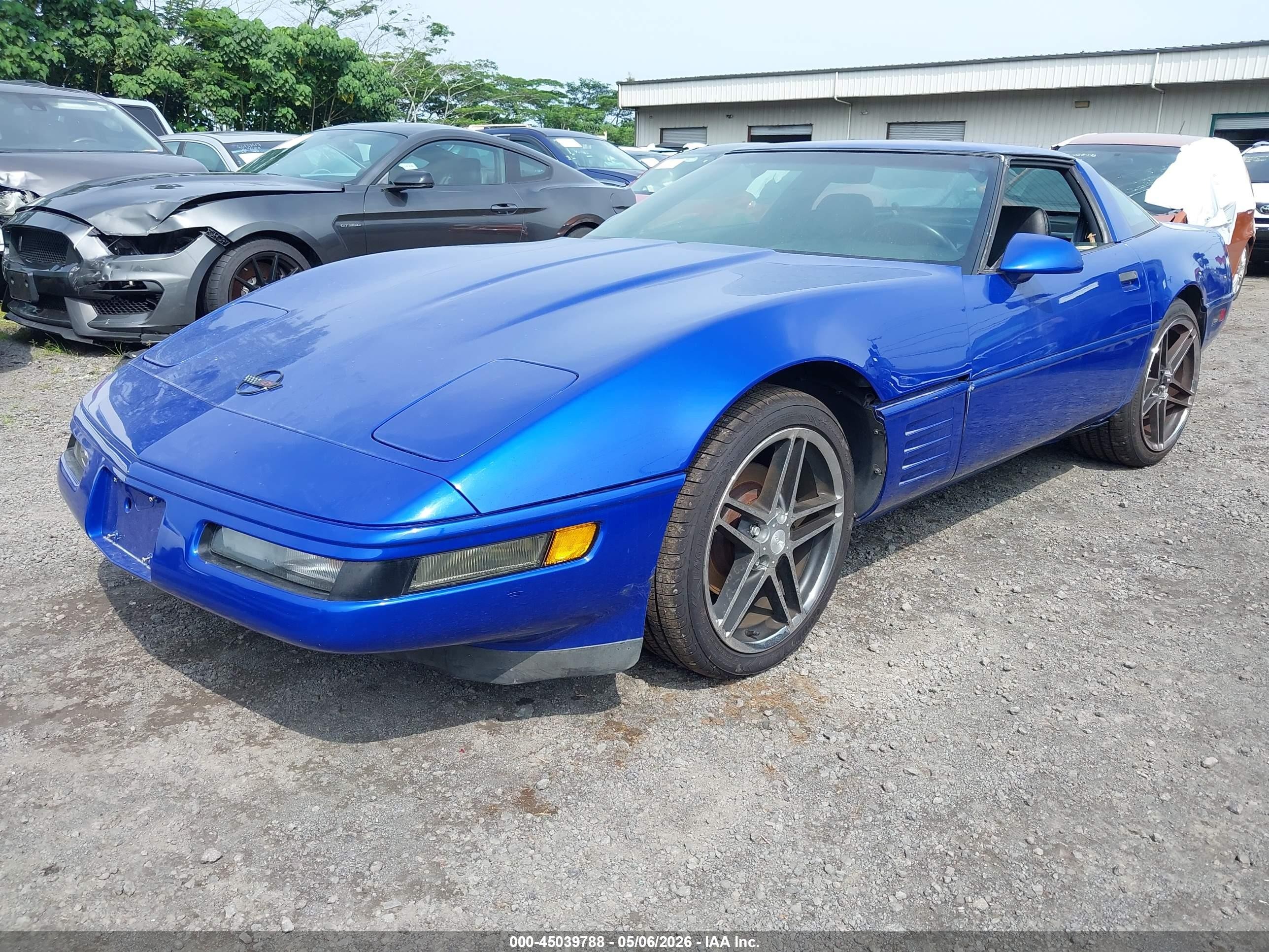 1994 Chevrolet Corvette   Blue vin: 1G1YY22P9R5112774