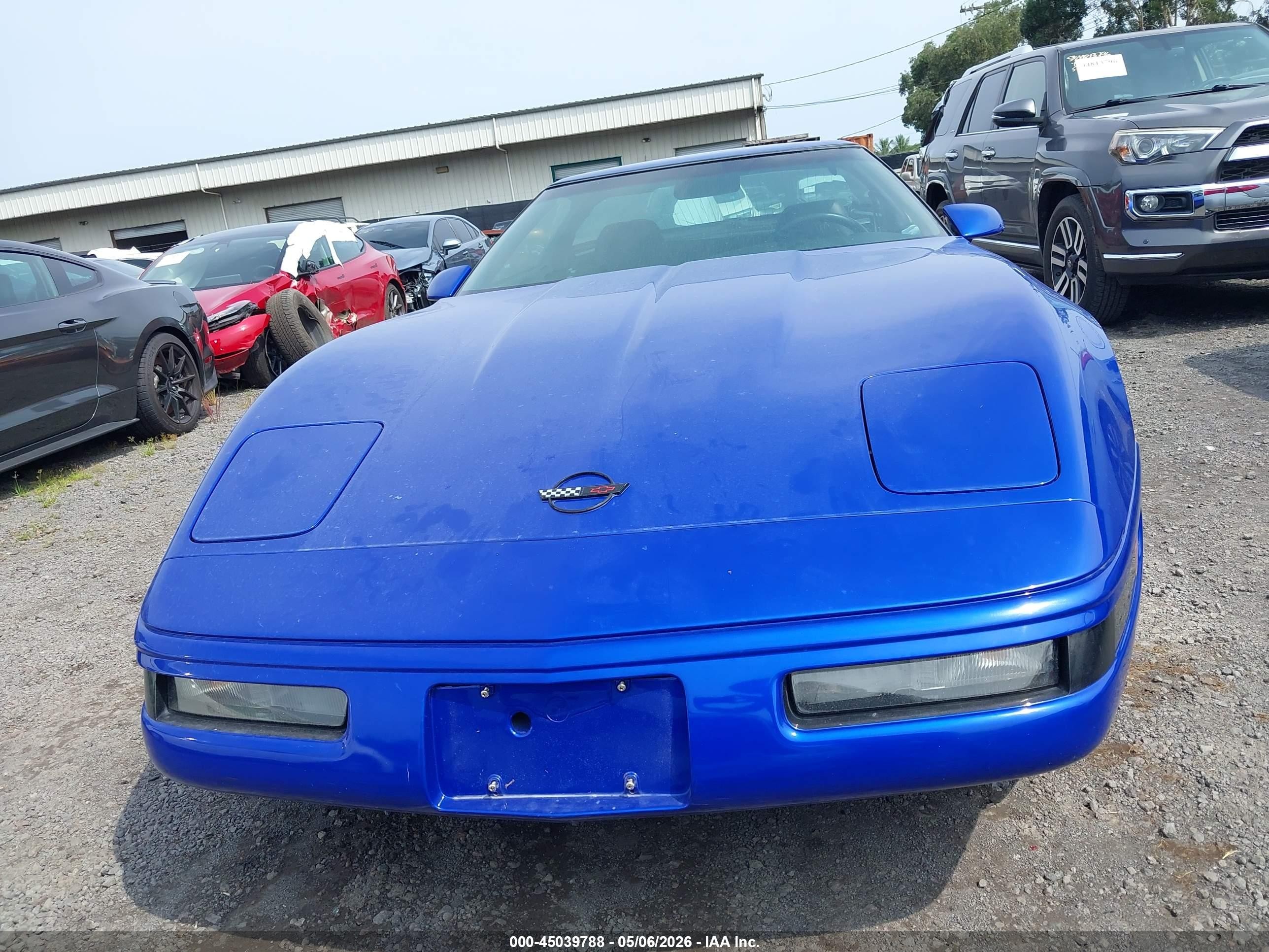 1994 Chevrolet Corvette   Blue vin: 1G1YY22P9R5112774