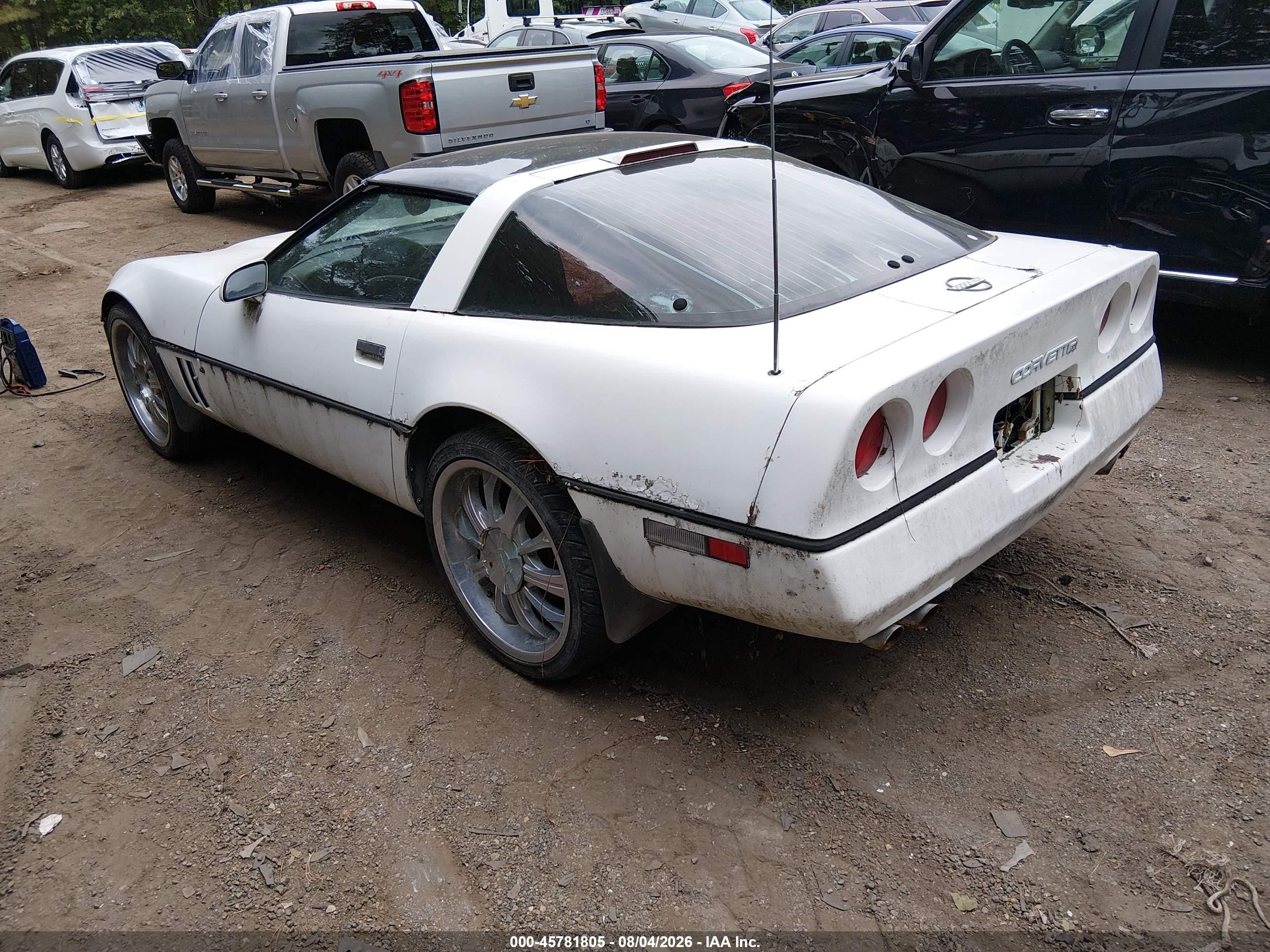 1990 Chevrolet Corvette   White vin: 1G1YY2382L5110685