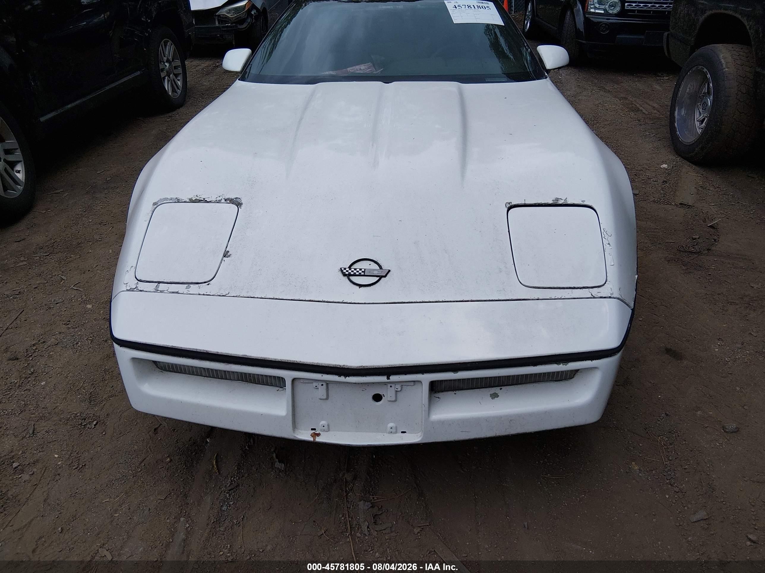 1990 Chevrolet Corvette   White vin: 1G1YY2382L5110685