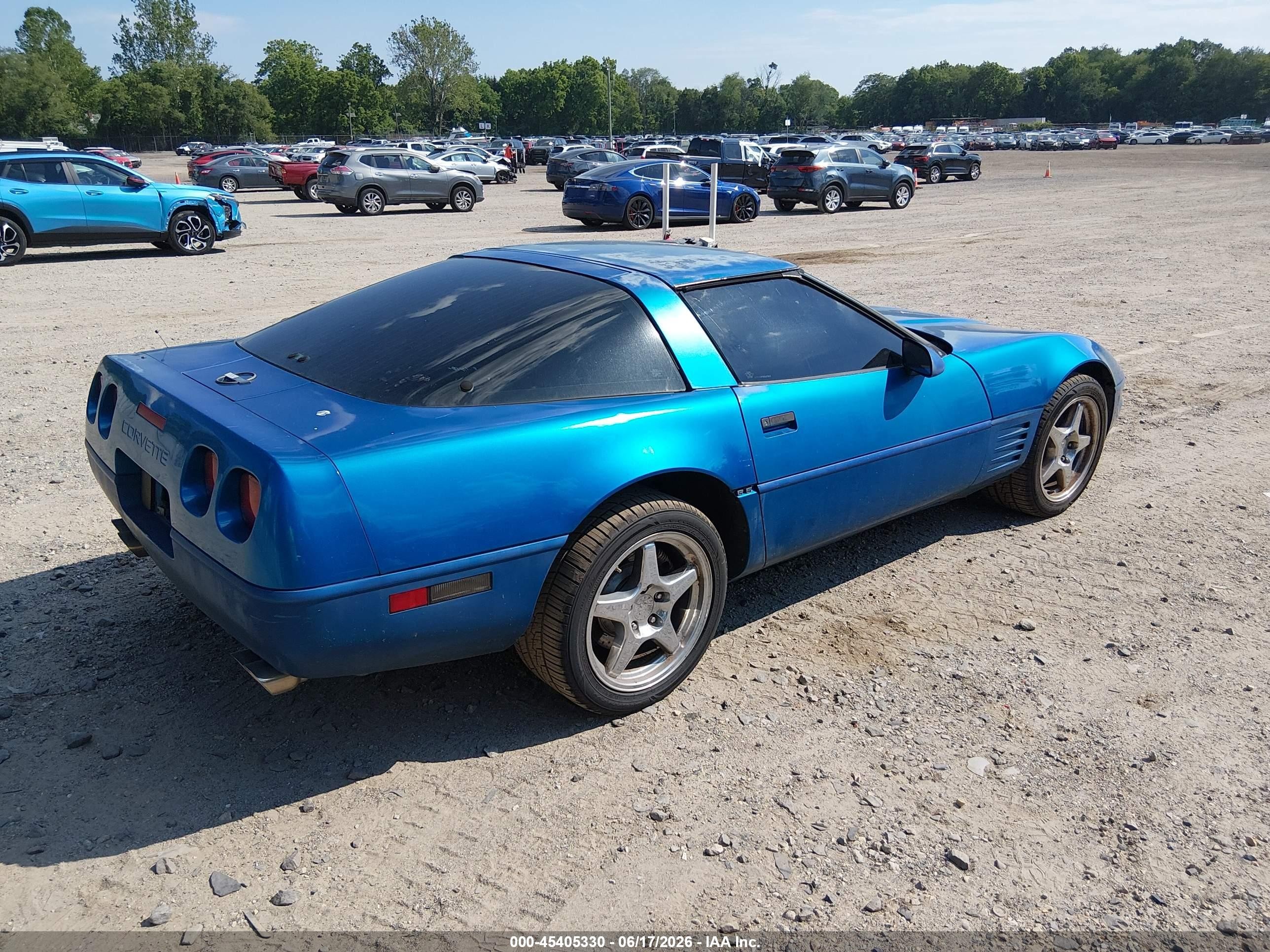 1991 Chevrolet Corvette   Blue vin: 1G1YY2387M5107816