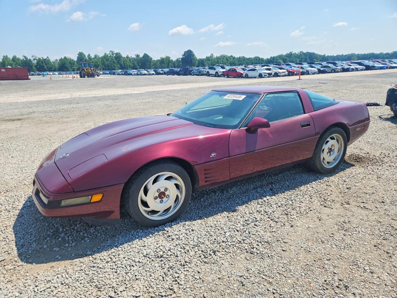 1993 Chevrolet Corvette Burgundy vin: 1G1YY23P0P5101853