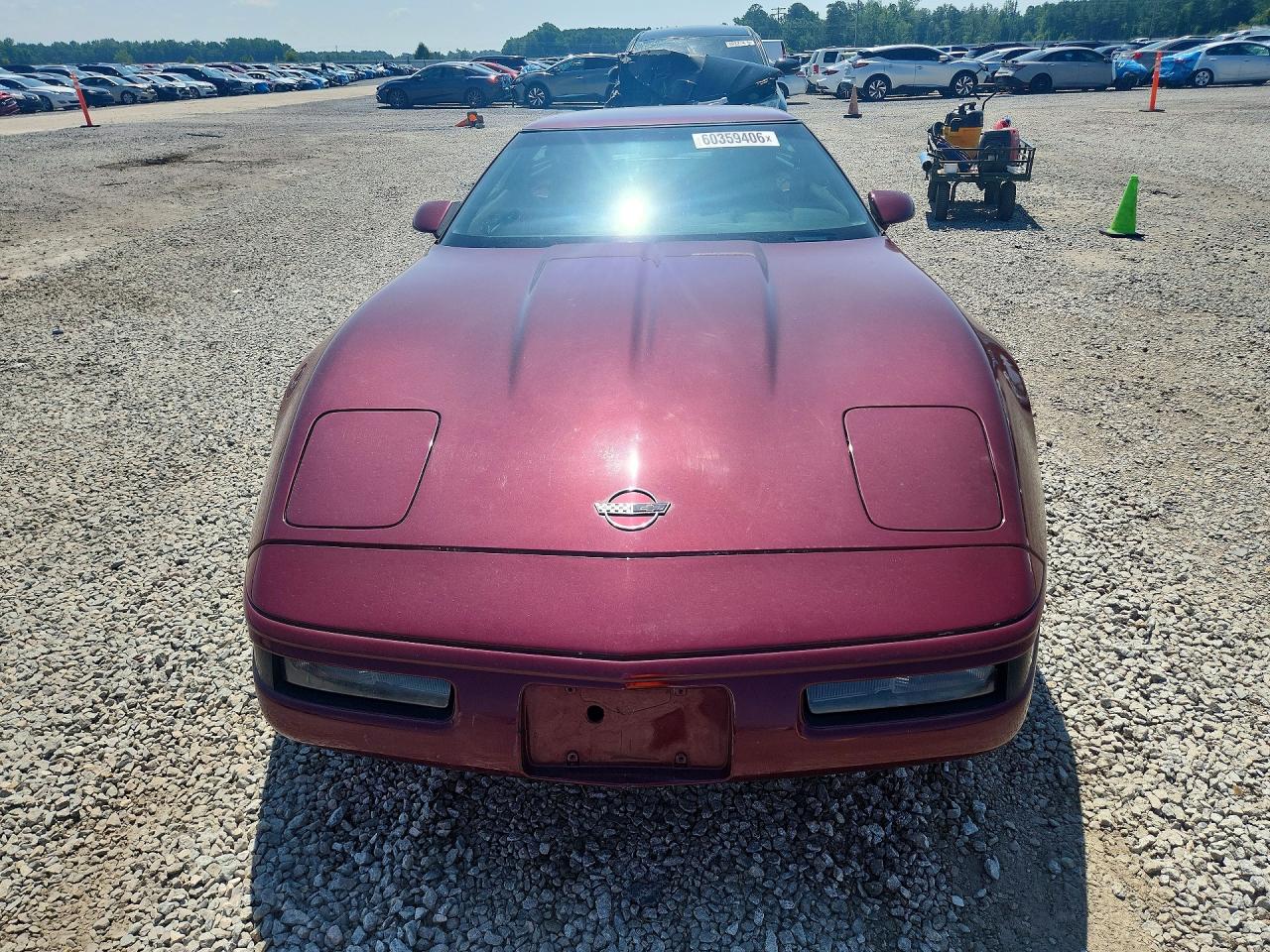 1993 Chevrolet Corvette Burgundy vin: 1G1YY23P0P5101853