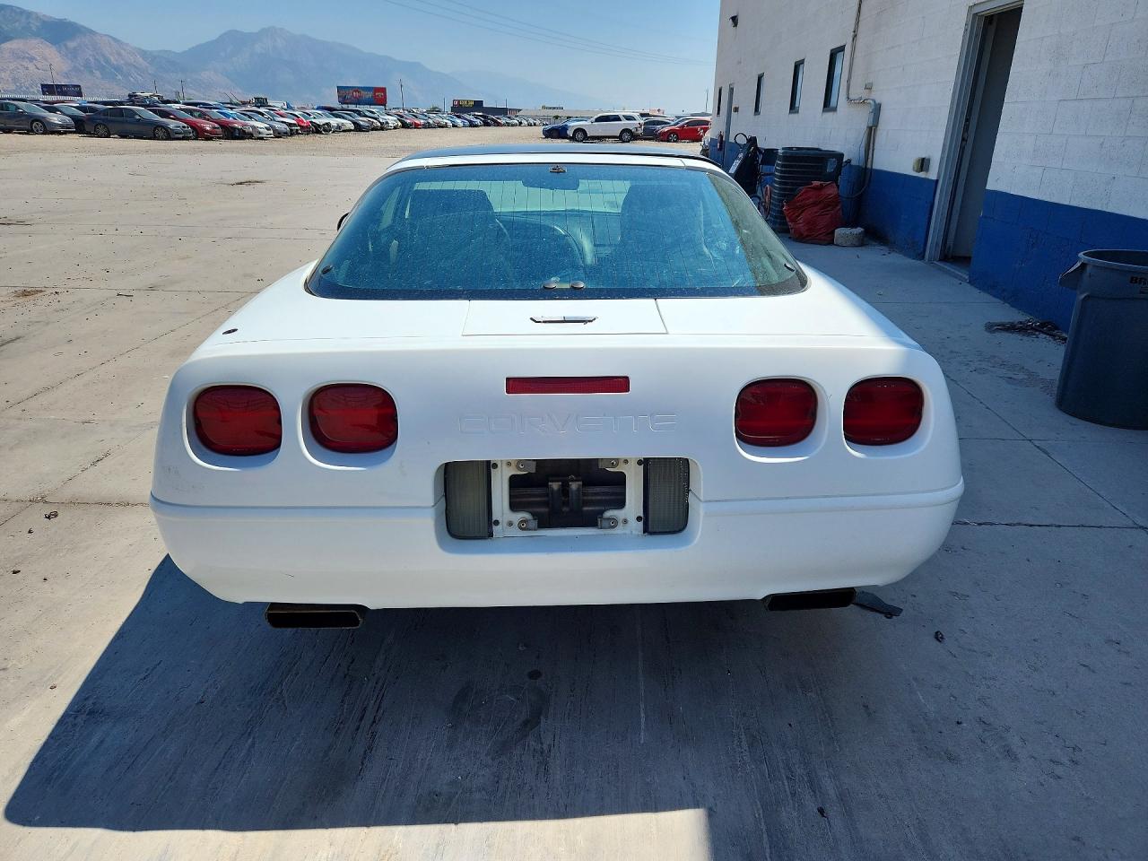 1993 Chevrolet Corvette White vin: 1G1YY23P0P5102629