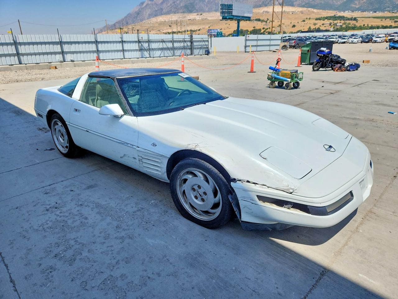1993 Chevrolet Corvette White vin: 1G1YY23P0P5102629