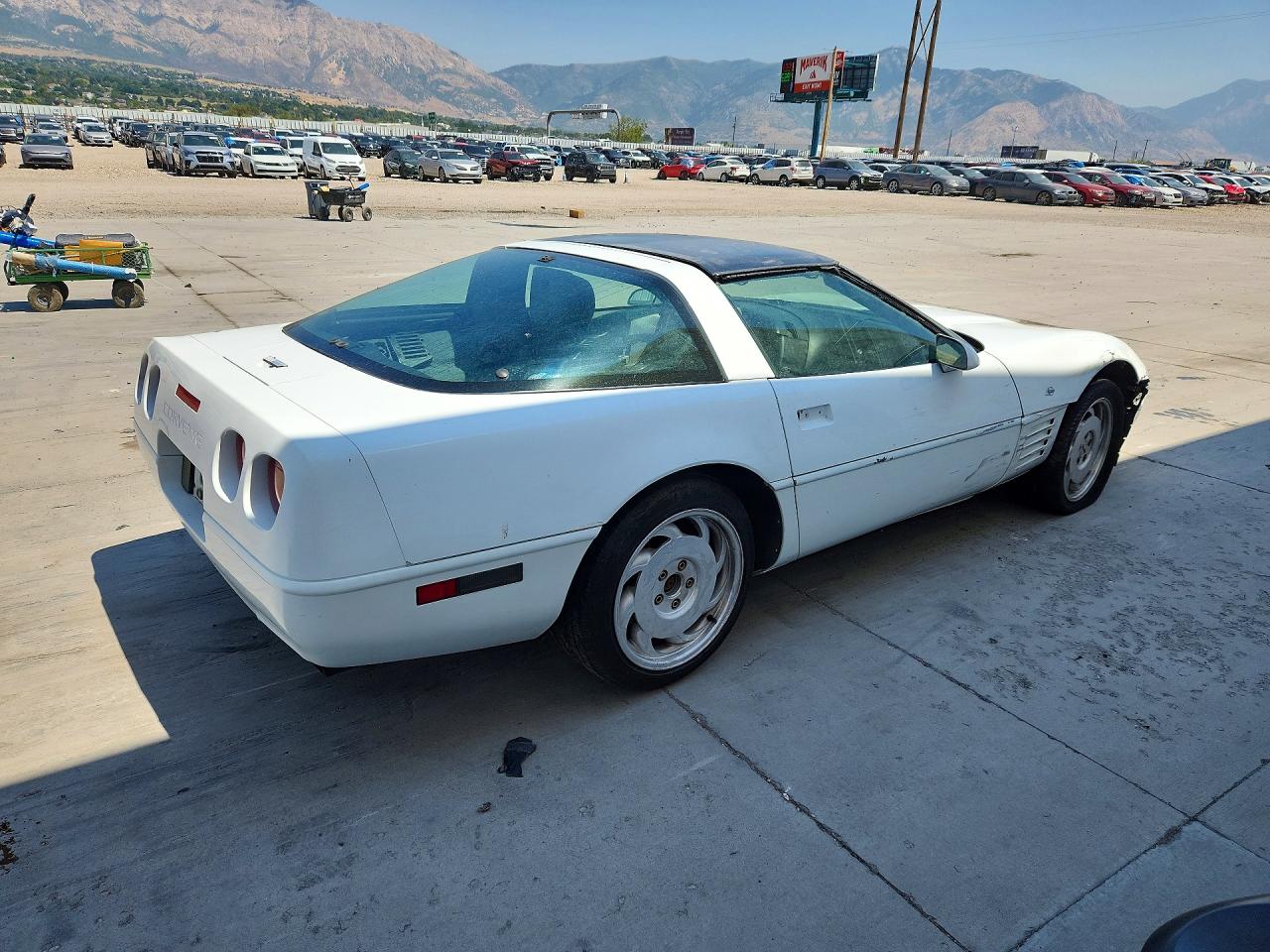 1993 Chevrolet Corvette White vin: 1G1YY23P0P5102629