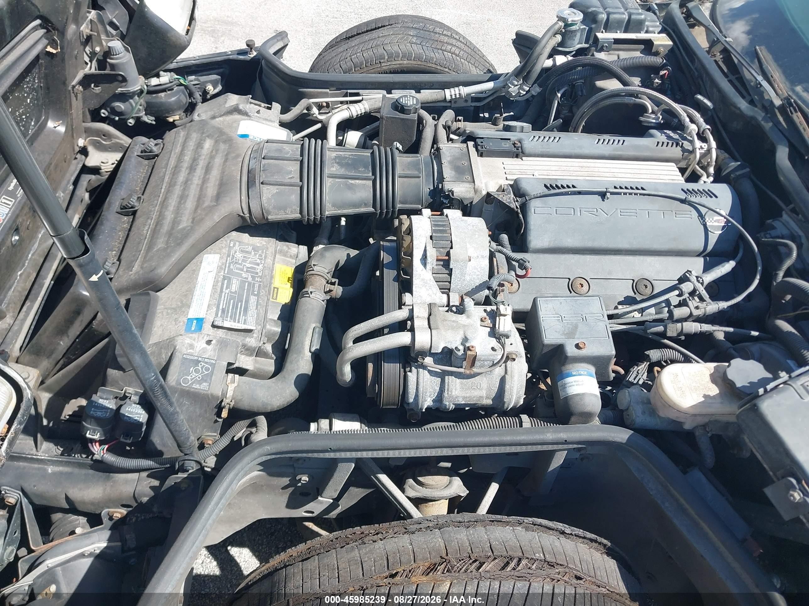 1993 Chevrolet Corvette   Black vin: 1G1YY23P0P5113095