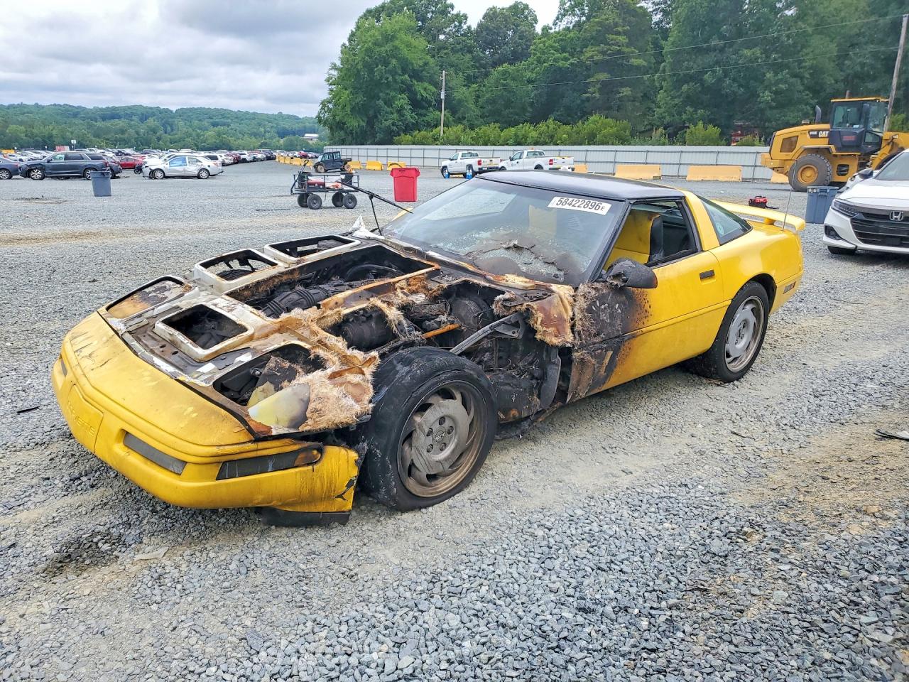 1992 Chevrolet Corvette Yellow vin: 1G1YY23P1N5100160