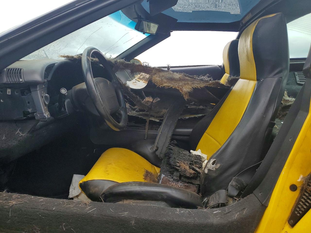 1992 Chevrolet Corvette Yellow vin: 1G1YY23P1N5100160