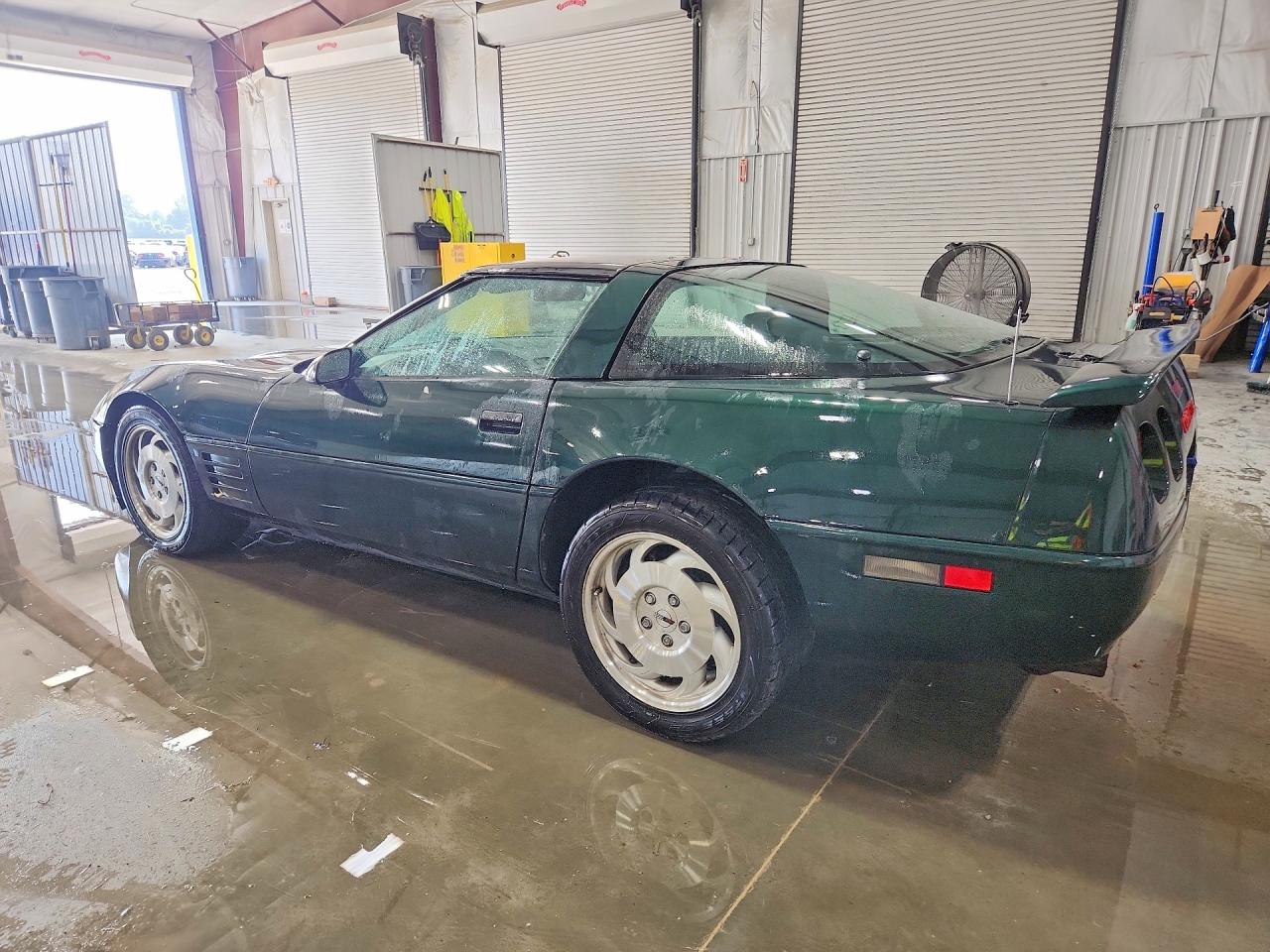 1993 Chevrolet Corvette Green vin: 1G1YY23P1P5101019