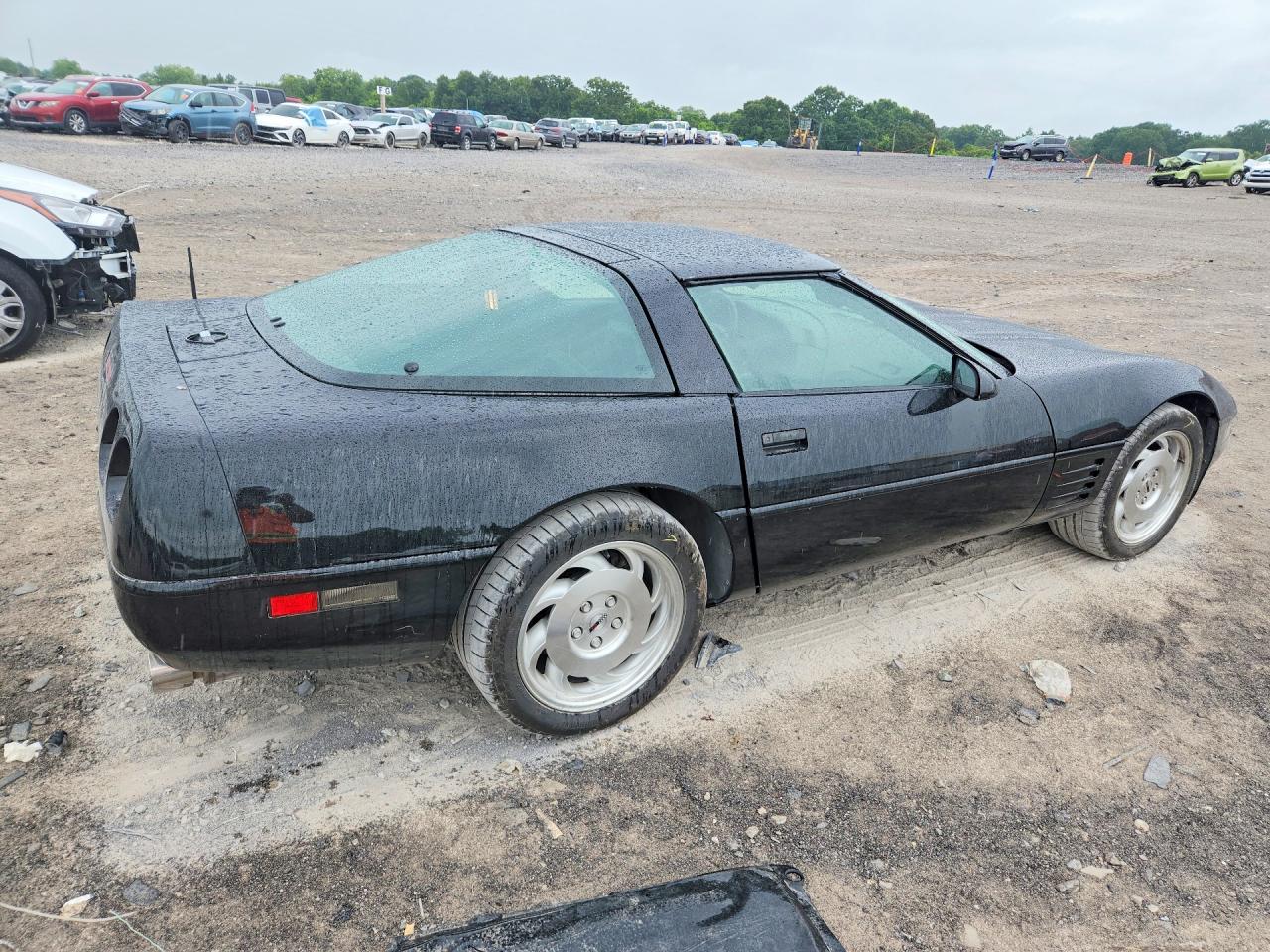 1993 Chevrolet Corvette Black vin: 1G1YY23P1P5103059