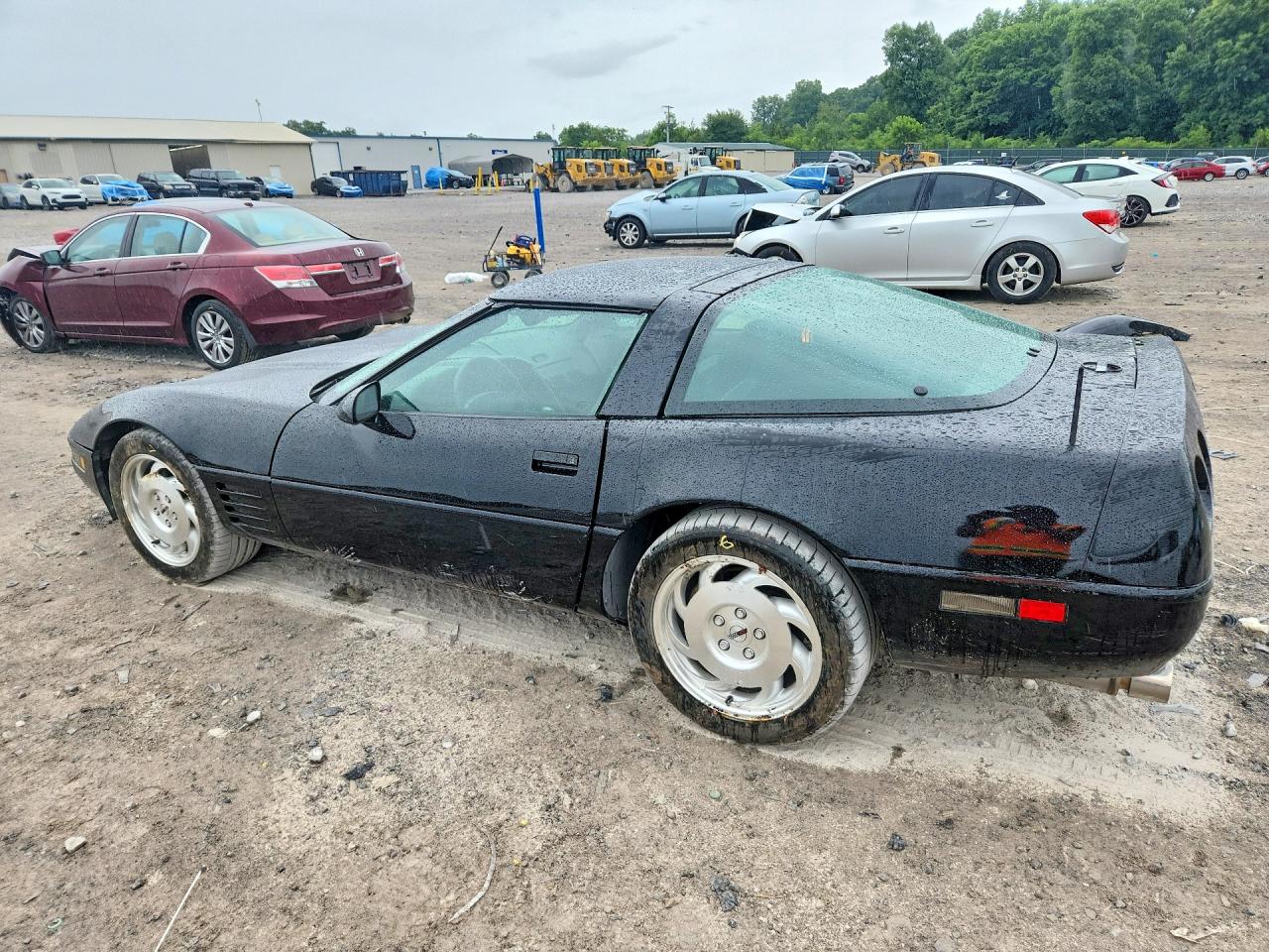 1993 Chevrolet Corvette Black vin: 1G1YY23P1P5103059