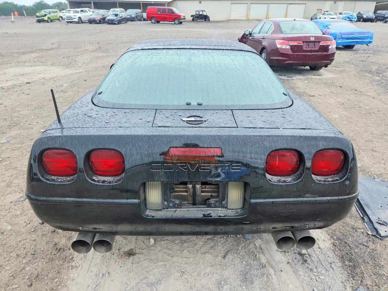 1993 Chevrolet Corvette Black vin: 1G1YY23P1P5103059