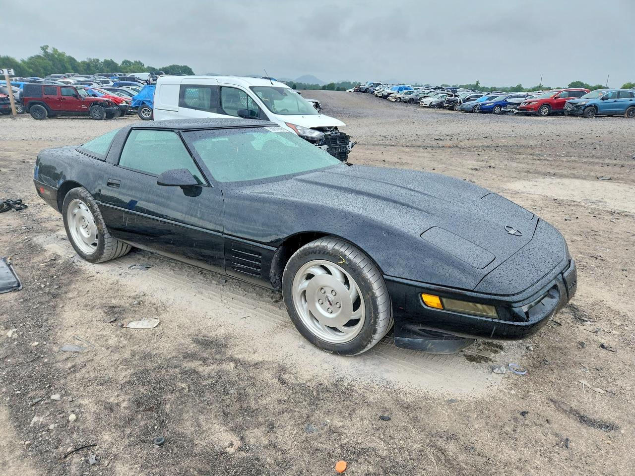 1993 Chevrolet Corvette Black vin: 1G1YY23P1P5103059