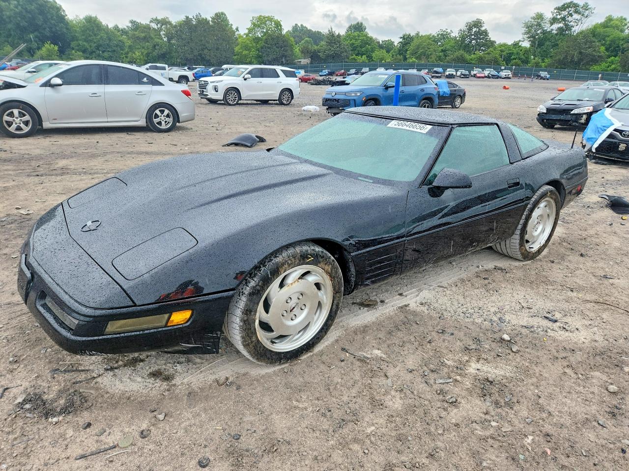 1993 Chevrolet Corvette Black vin: 1G1YY23P1P5103059