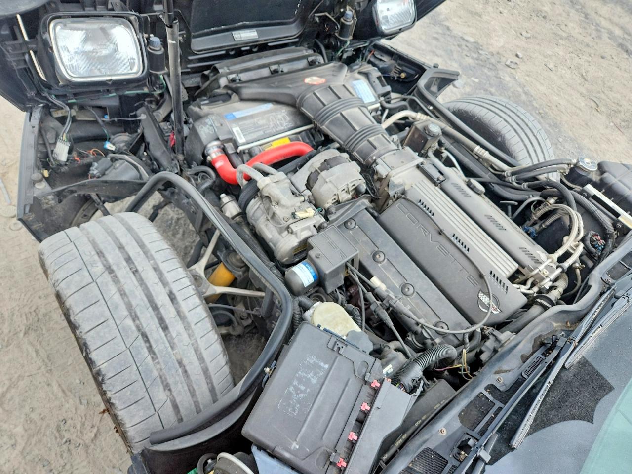 1993 Chevrolet Corvette Black vin: 1G1YY23P1P5103059