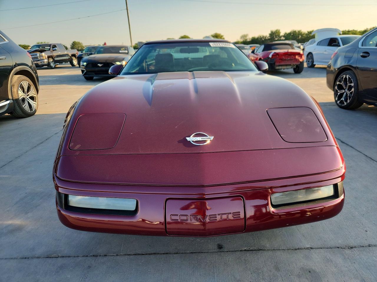 1993 Chevrolet Corvette Burgundy vin: 1G1YY23P3P5115200